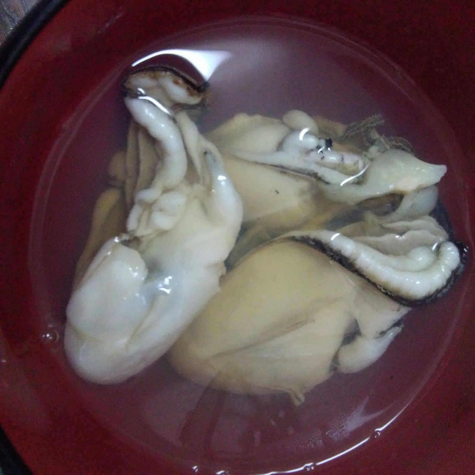 Raw shellfish displayed in a red bowl