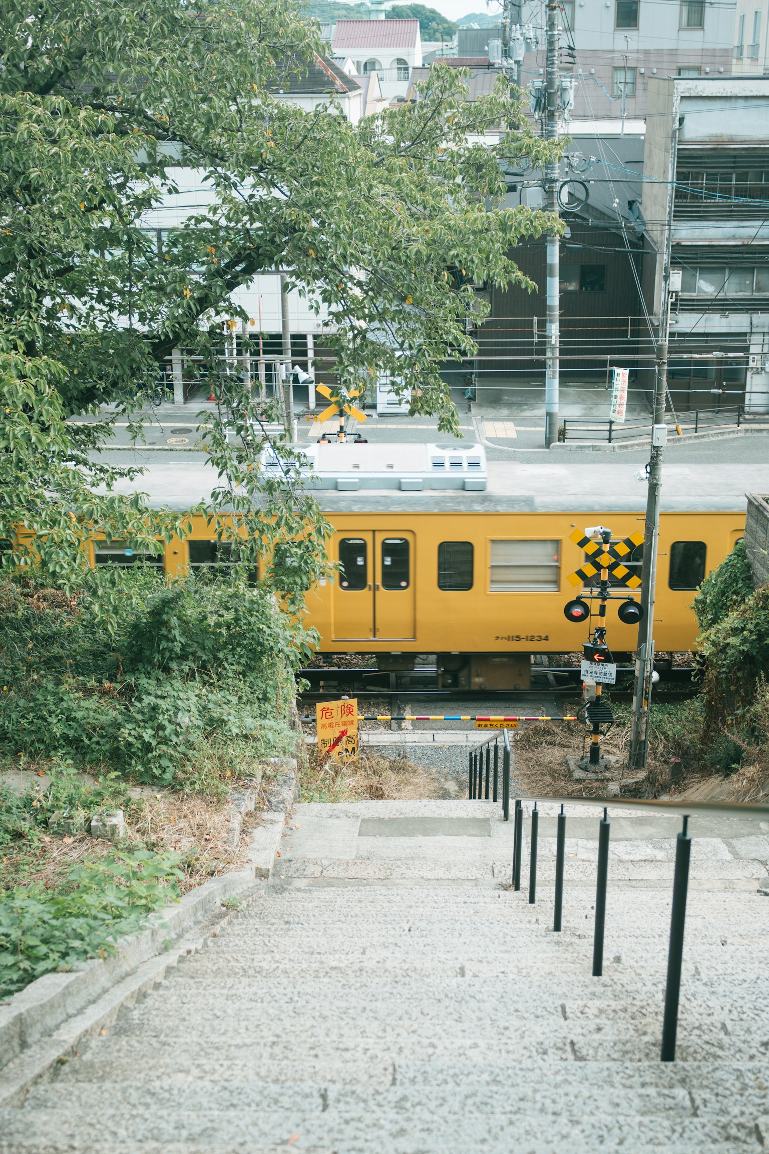 photo-v7VK3UPIZI4OpAGQU2dS-image