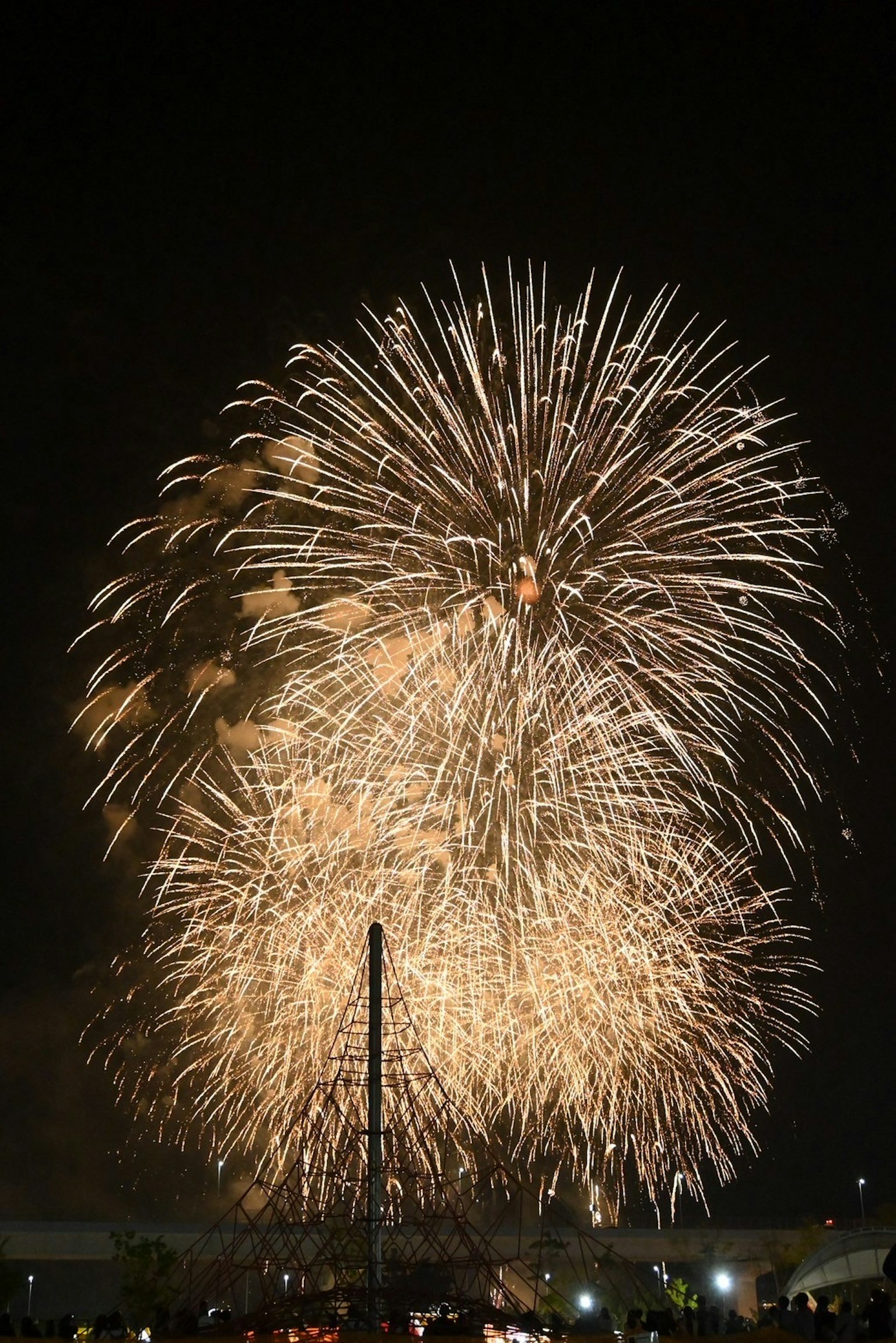 夜空中綻放的五彩煙火