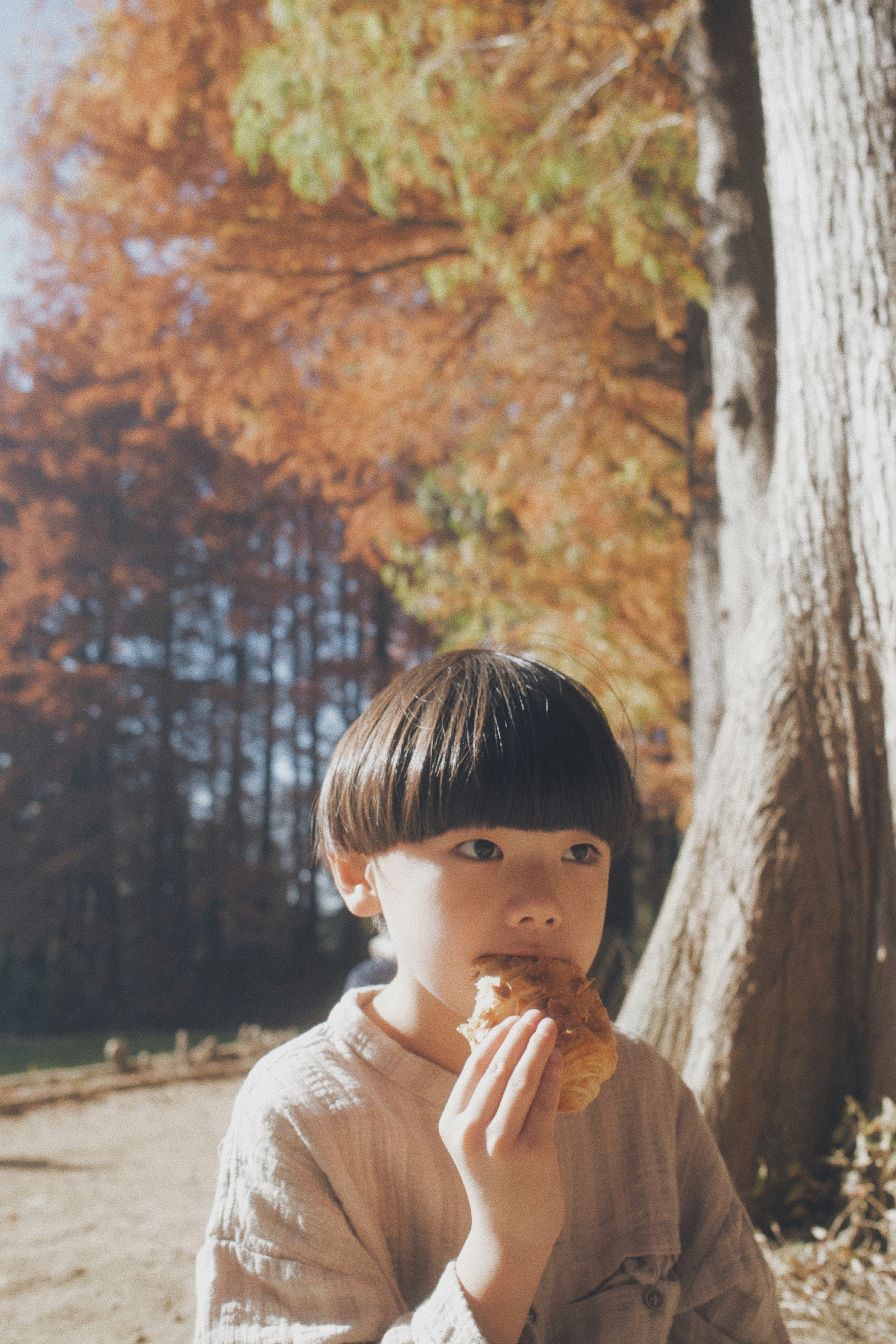 木のそばで秋の森を背景にお菓子を食べる子ども