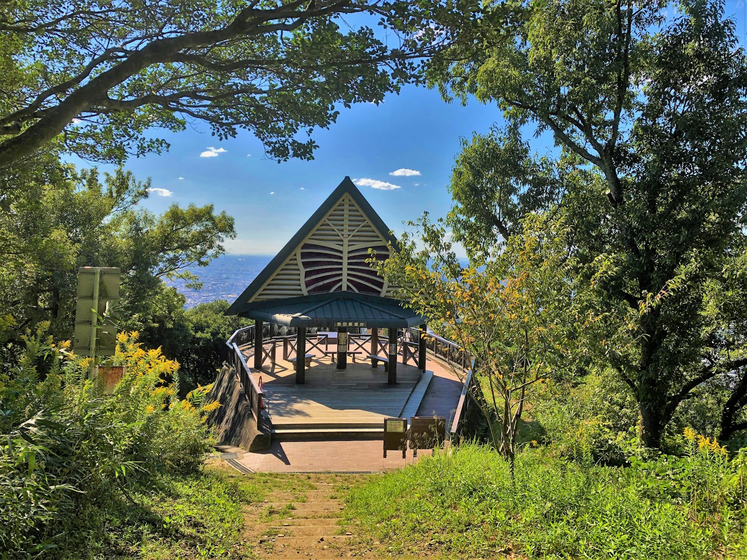 Vista panoramica di un gazebo circondato da vegetazione