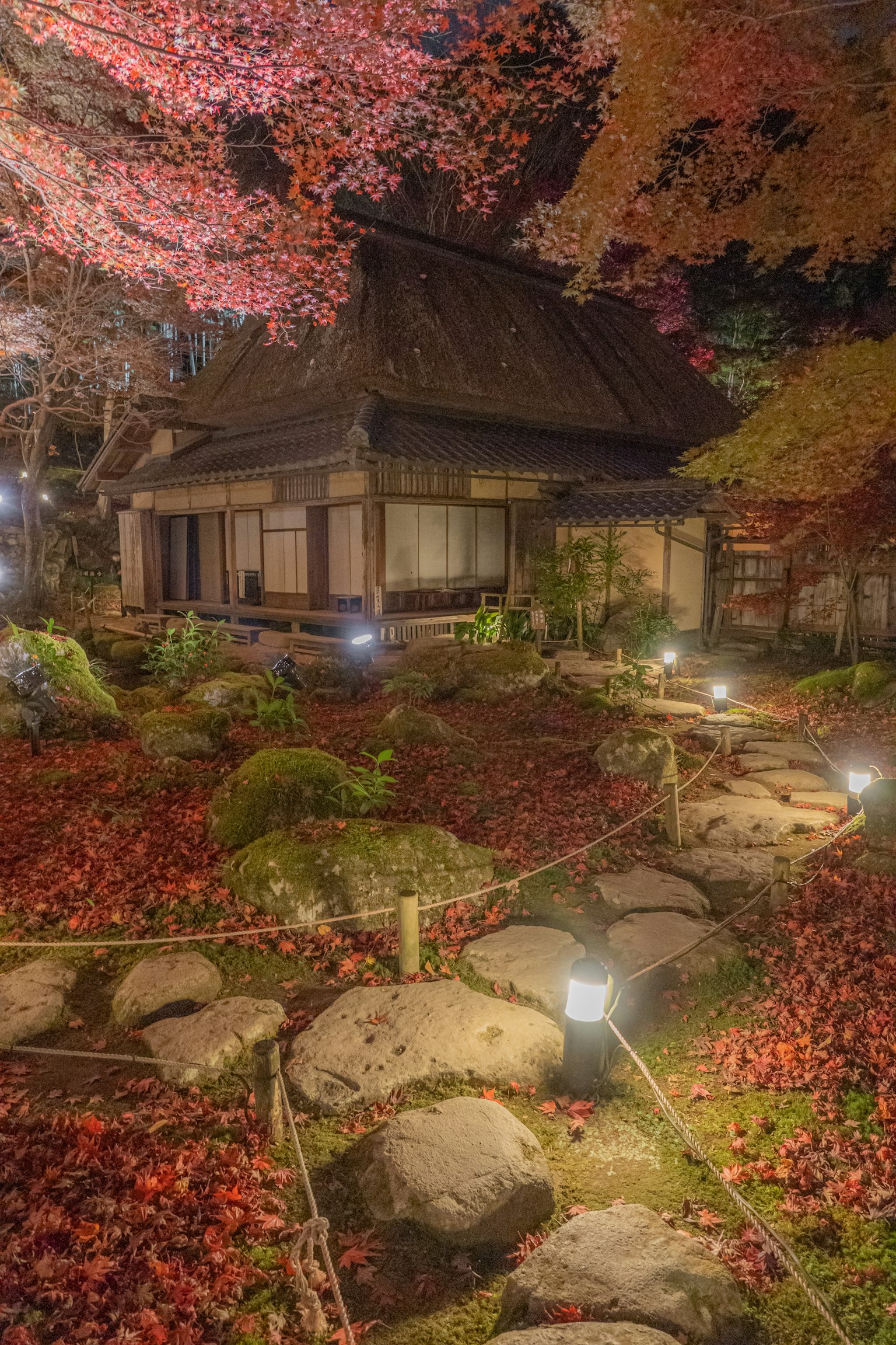 Rumah tradisional Jepang dikelilingi daun musim gugur dan jalan taman