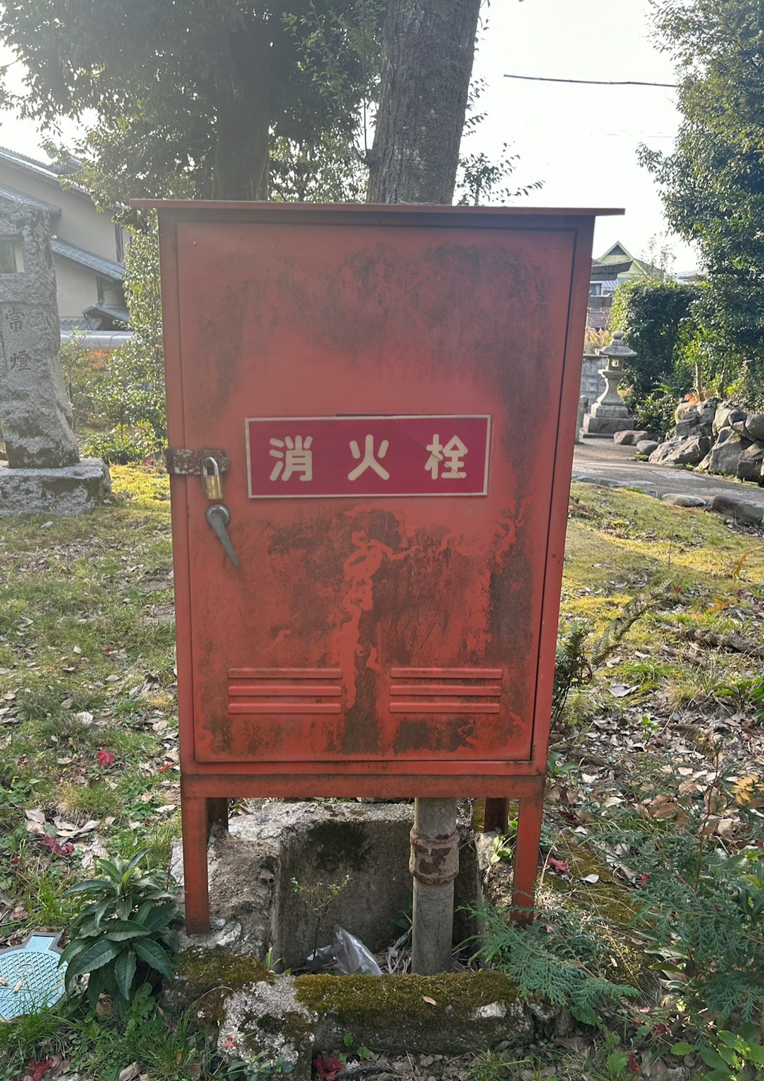 红色消防栓箱站在草地上