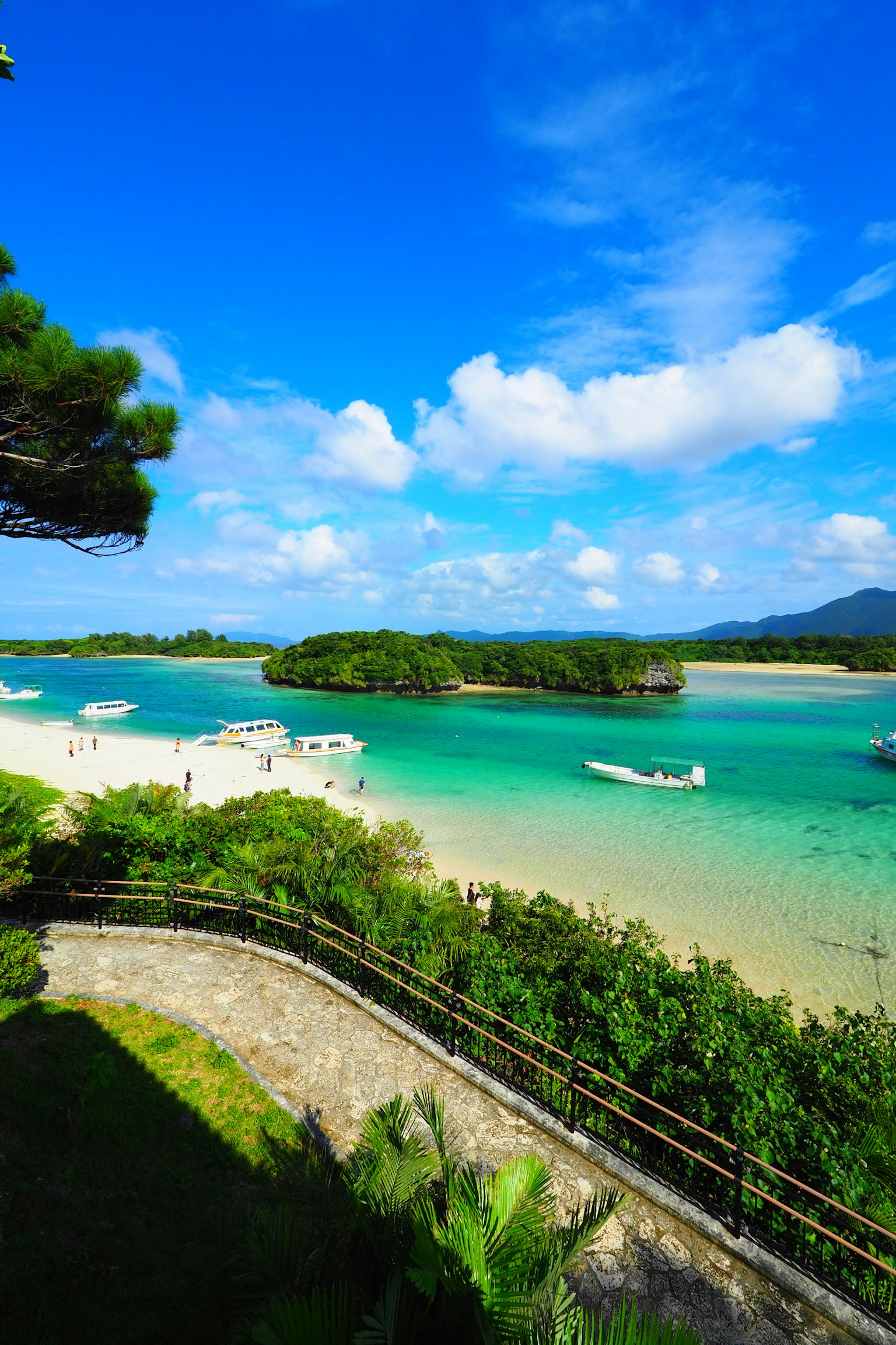 蓝天之下的碧绿海水和郁郁葱葱的绿地风景