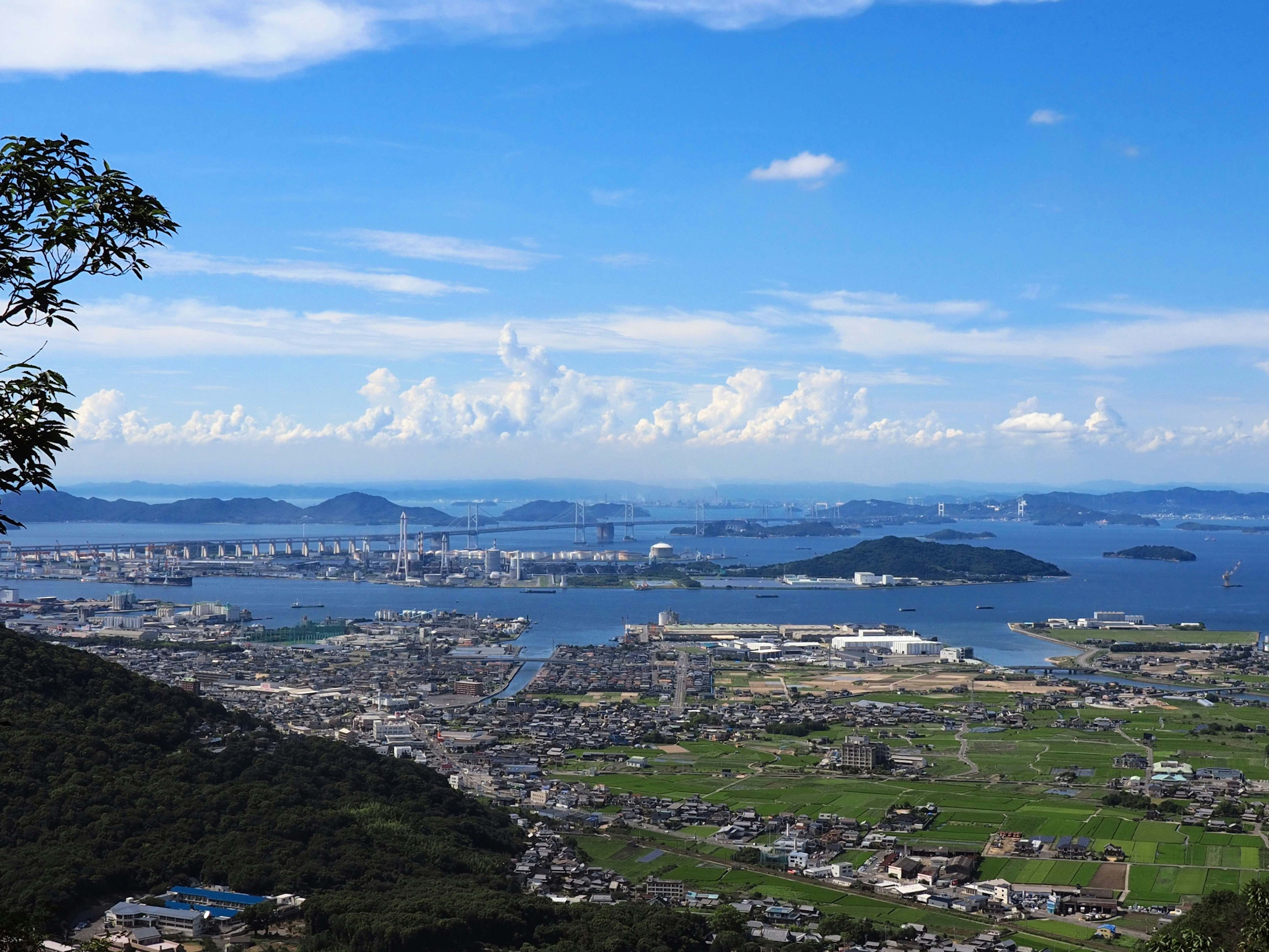 從山坡俯瞰的港口城市全景