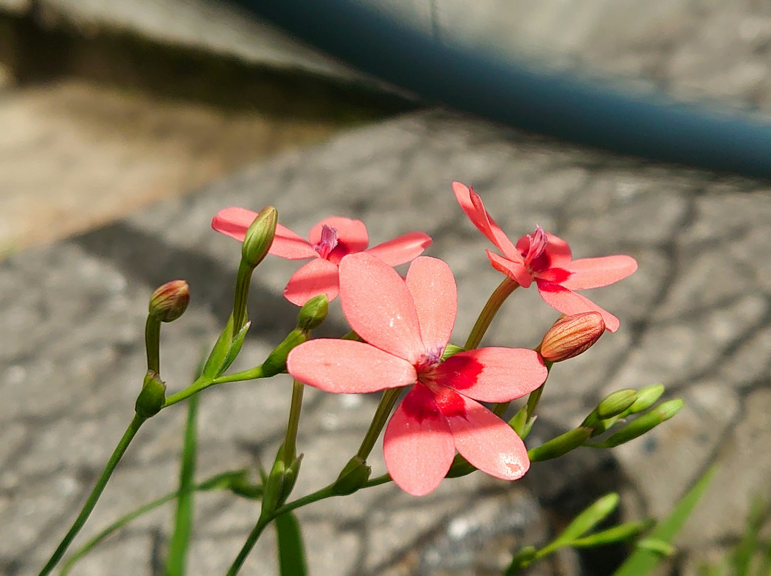 photo-vBefQ0U8aOjDAaqDHgdq-image