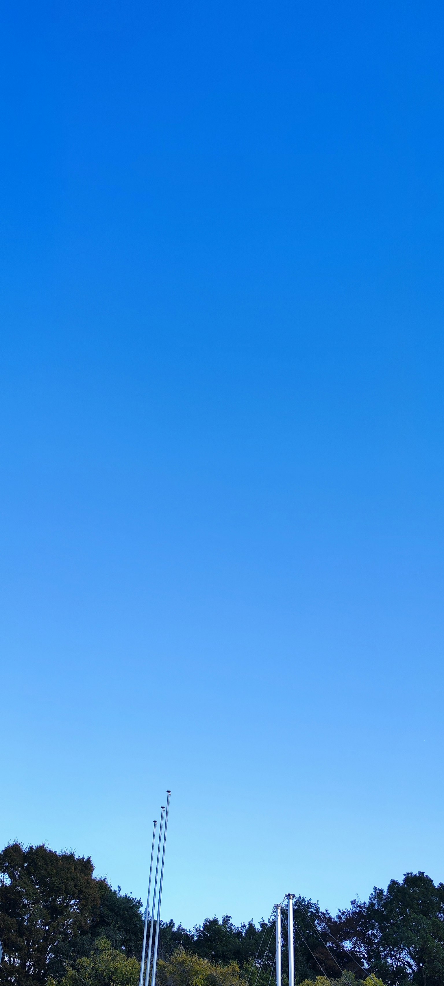 Ciel bleu clair avec des arbres verts au premier plan