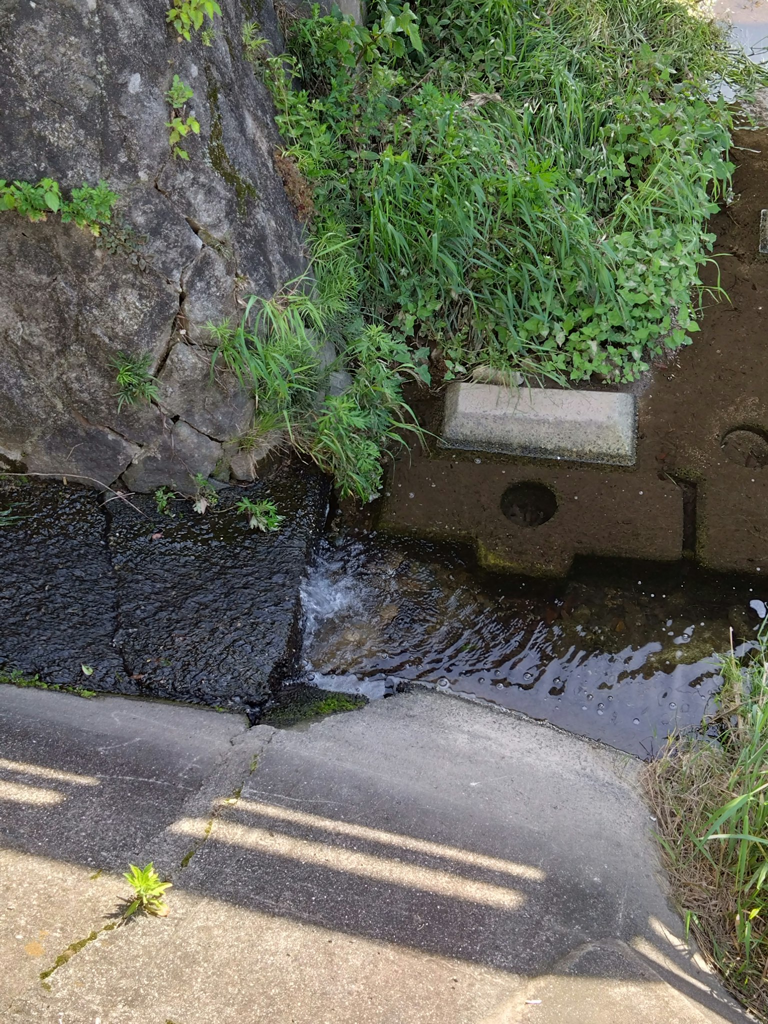 Un pequeño arroyo que fluye junto a una pared de piedra cubierta de hierba