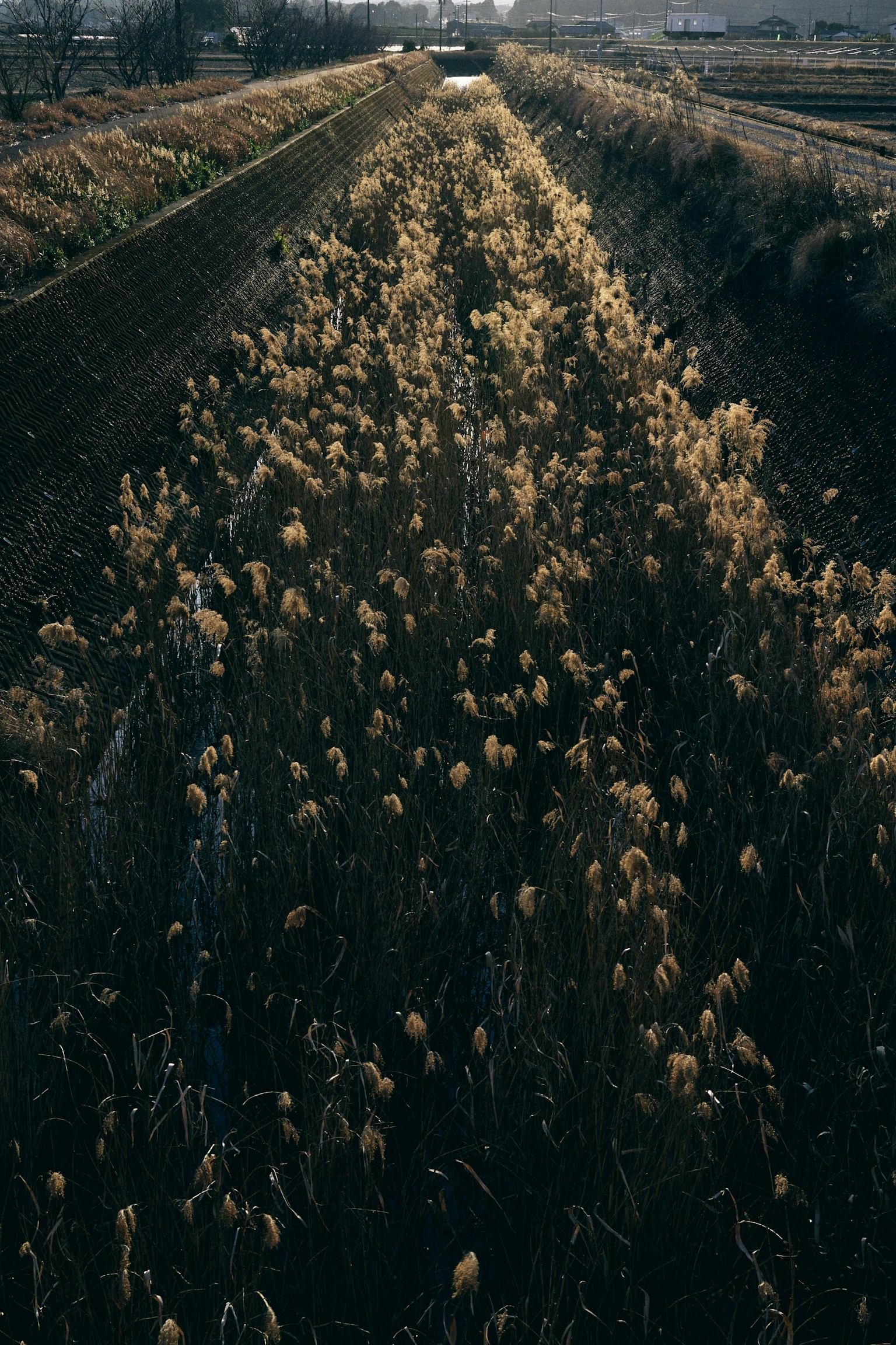 photo-vCbEYGYjf6XKHa77GitO-image