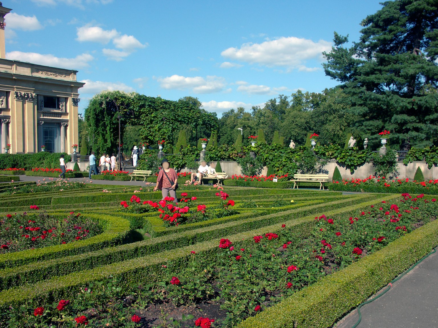 Bellissimo giardino con fiori colorati che sbocciano