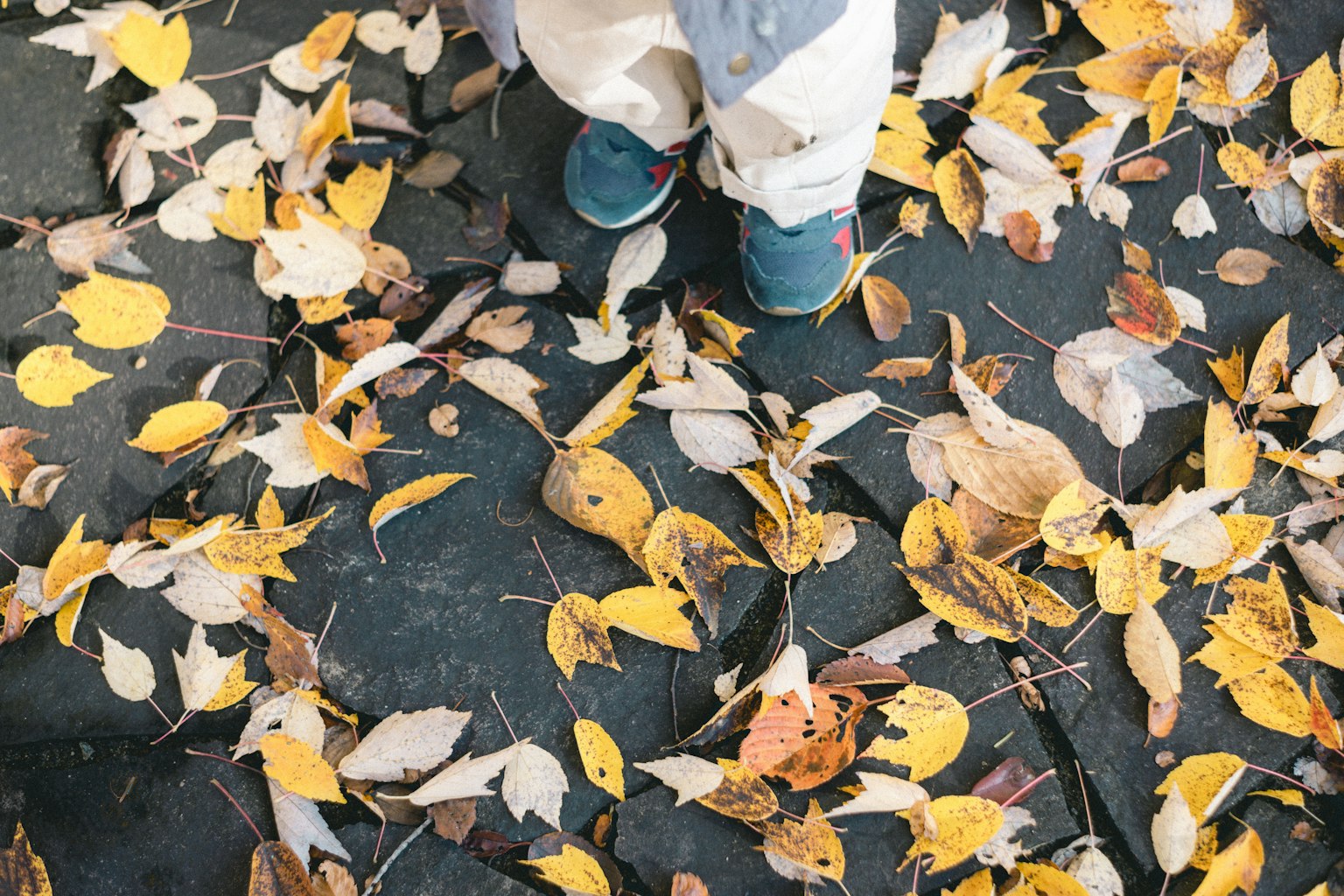 Pieds d'enfant sur des feuilles d'automne