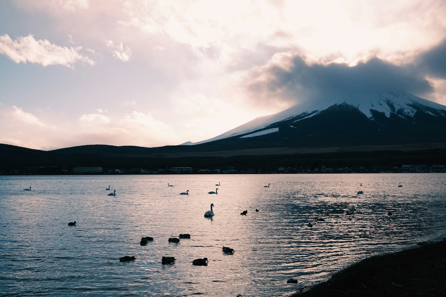 Scenic view of Mount Fuji with swans on the lake