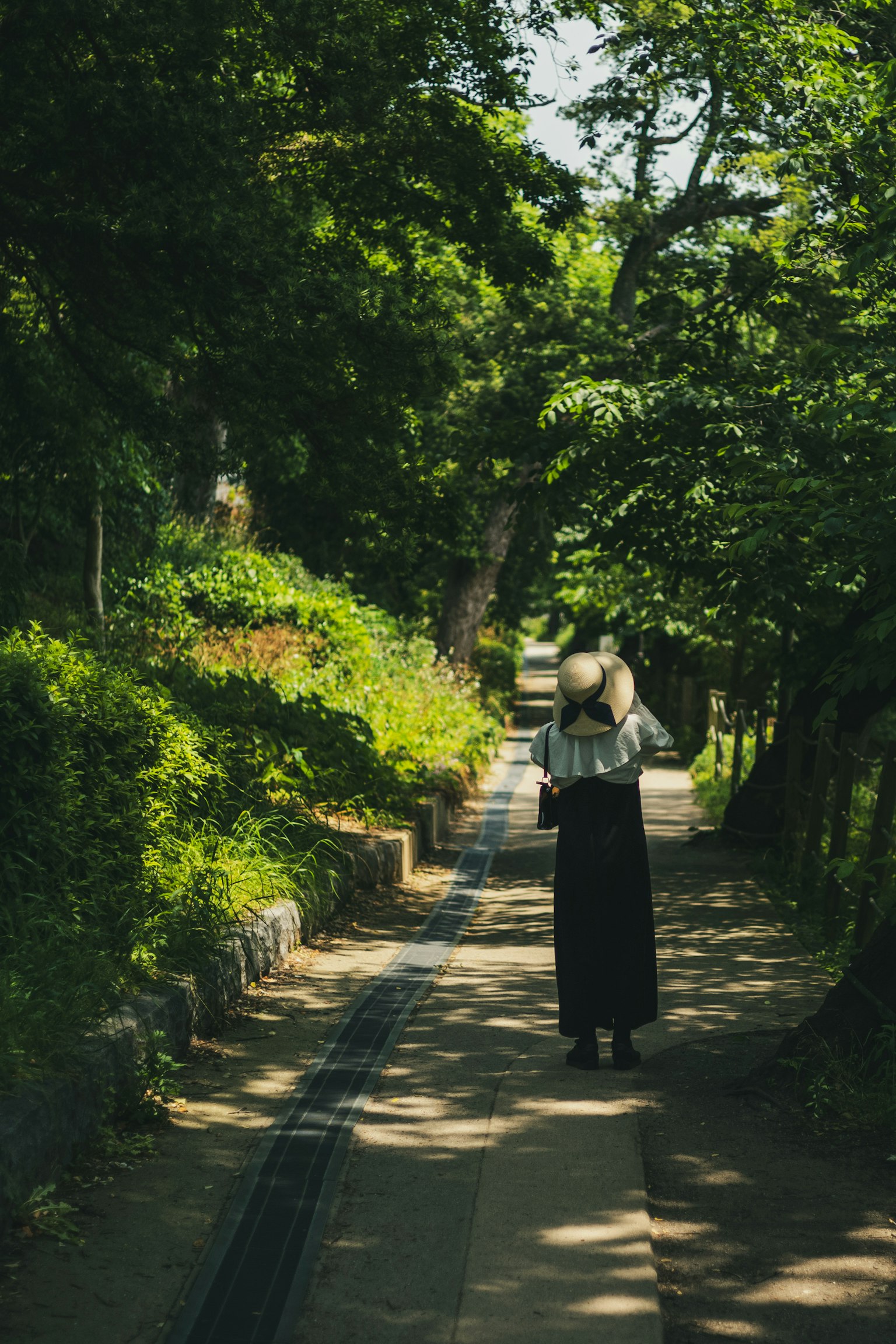 Une femme marchant le long d'un chemin bordé d'arbres