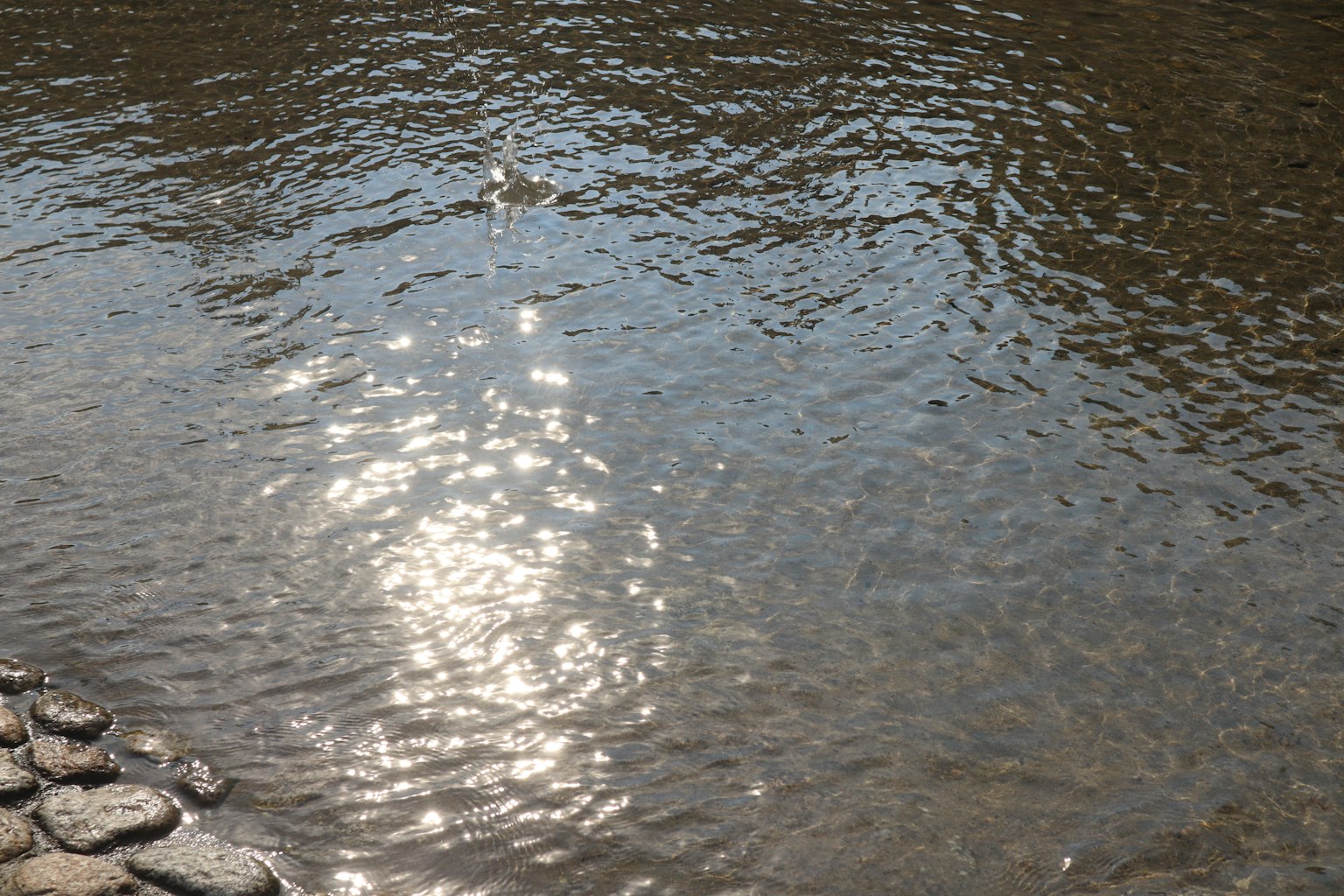 Ruhige Flusslandschaft mit Lichtreflexionen auf dem Wasser und Kieselsteinen