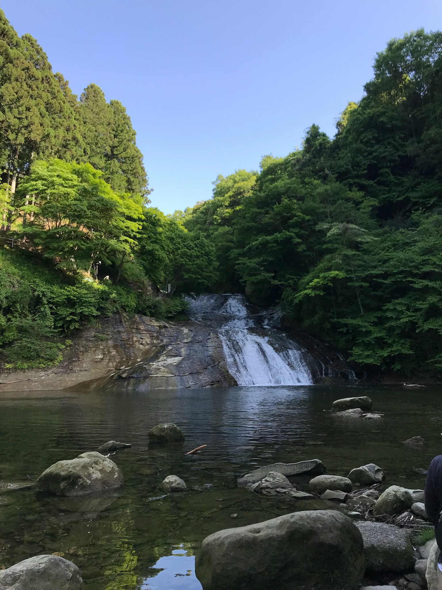 被郁郁葱葱的绿树环绕的瀑布和宁静的水景