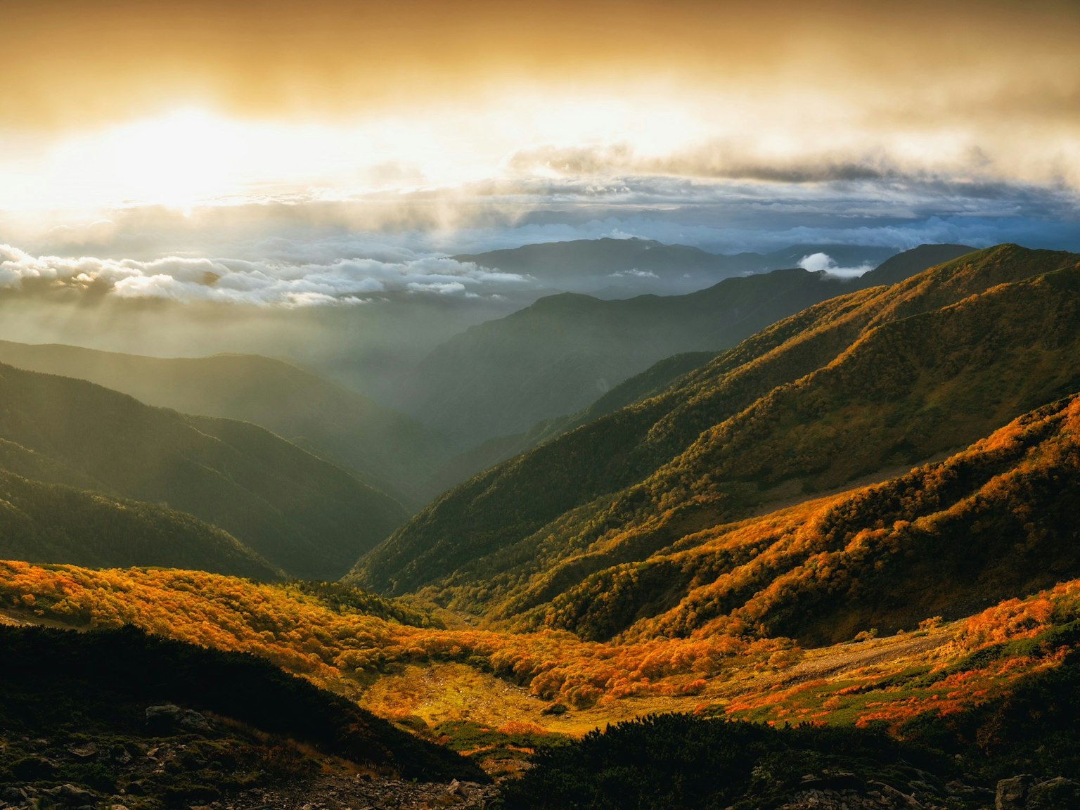 photo-vGY4qcoBh4nZMoqR3ahu-image