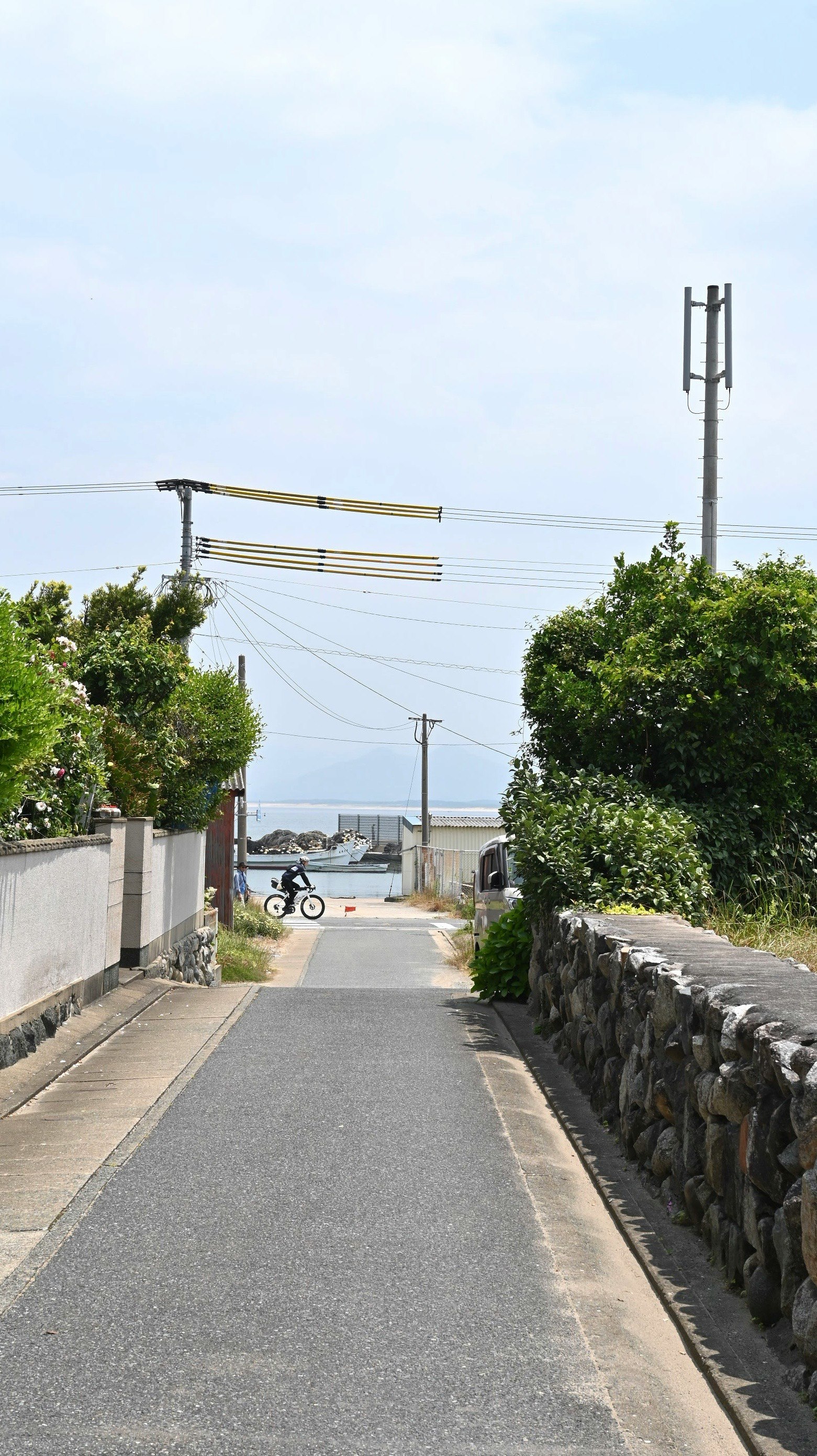 島の道を走る自転車と青空の抜けた景色