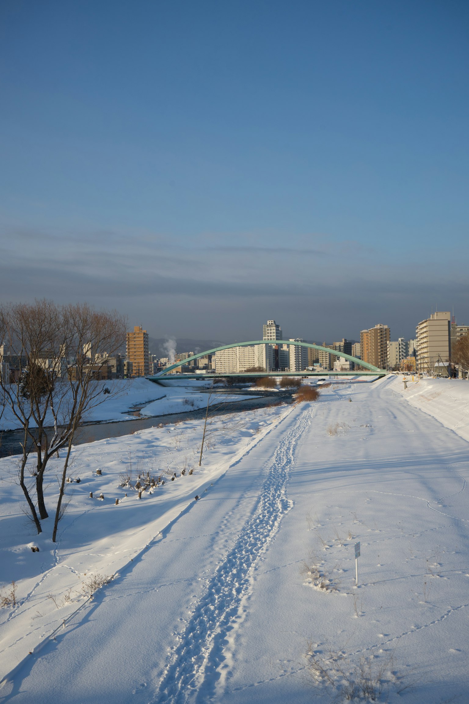 Winter landscape featuring a snow-covered path and city skyline