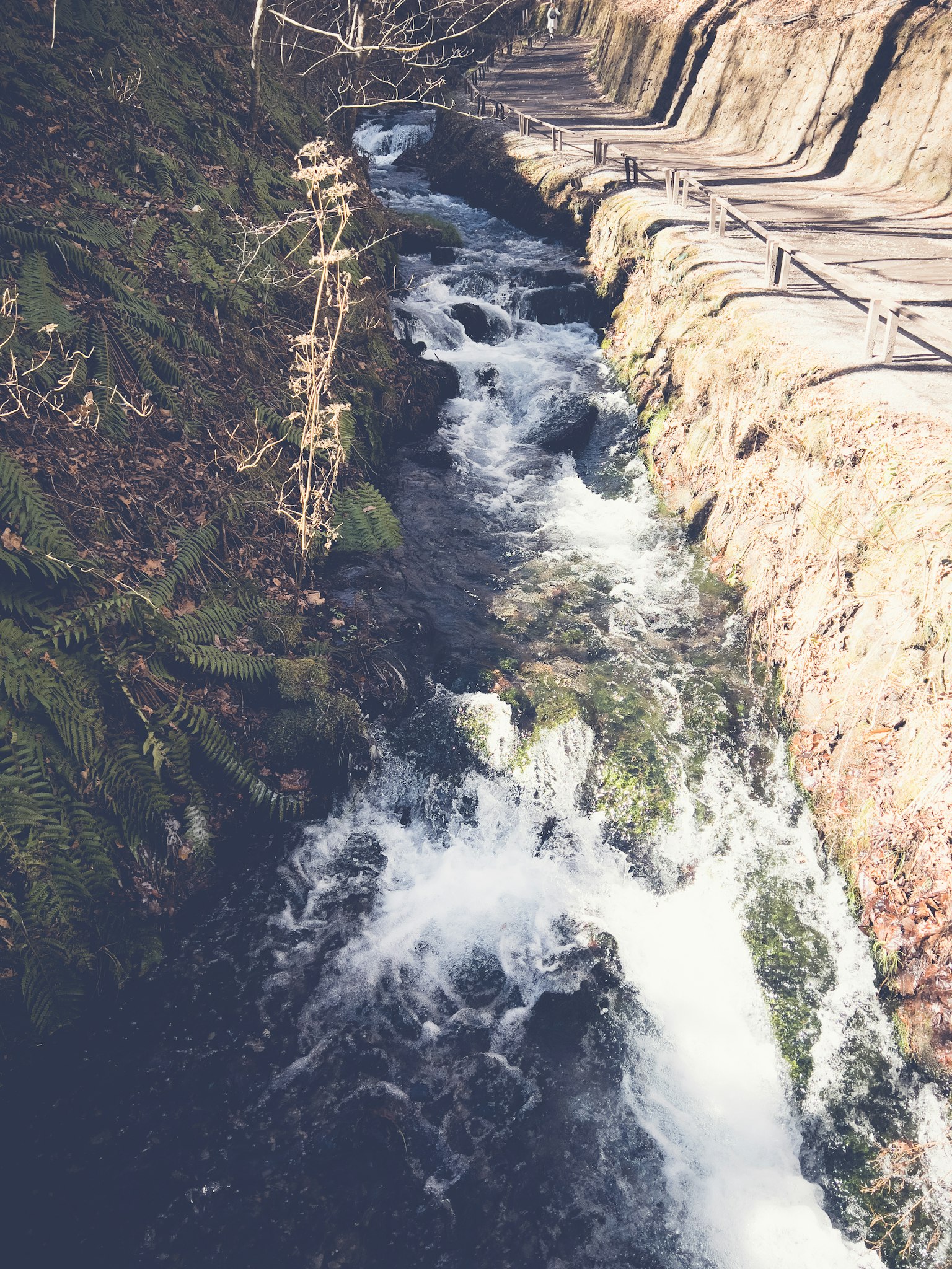 Un ruisseau coulant sur des rochers avec des rives couvertes de mousse