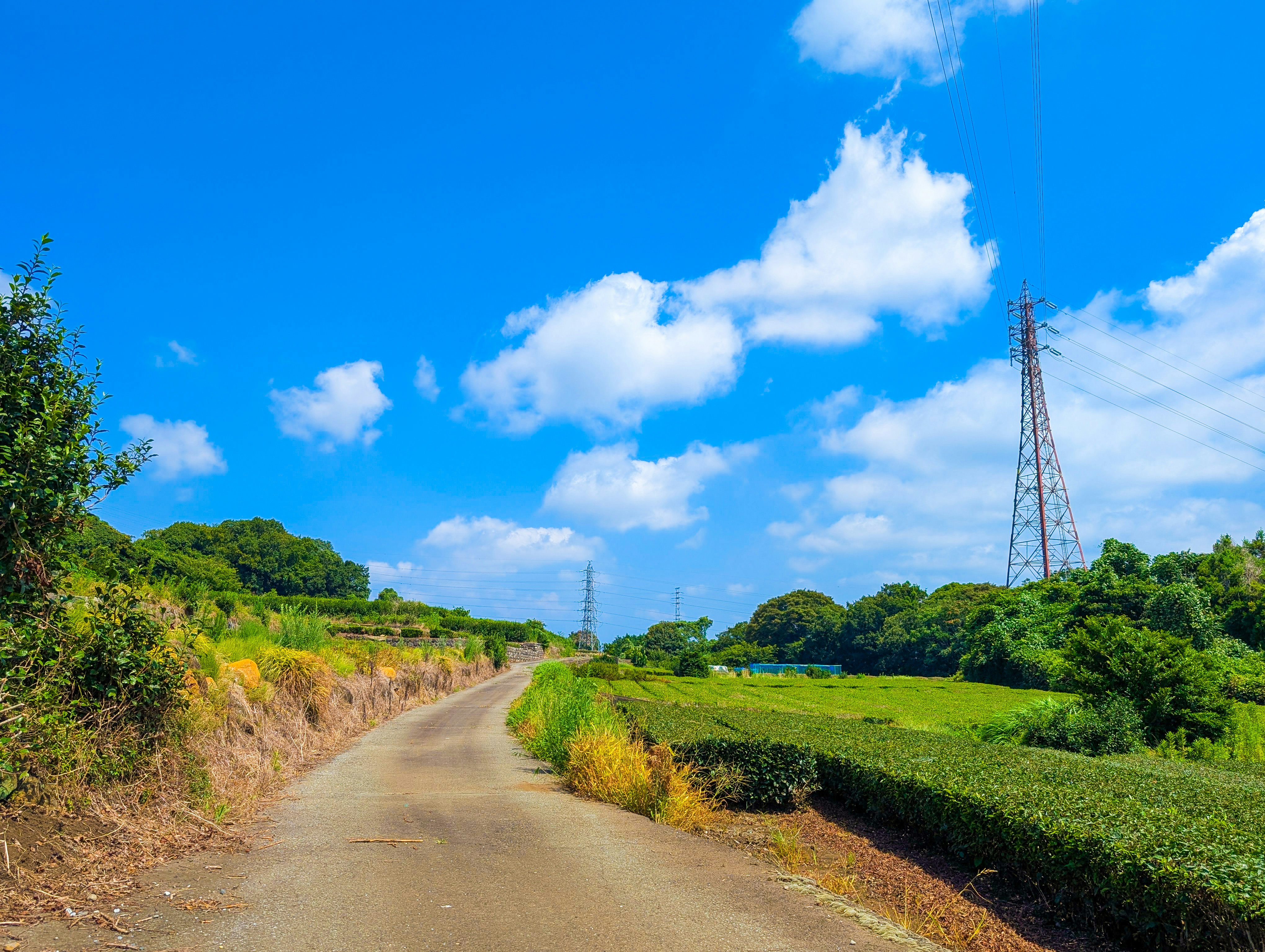 夏の長閑な田舎道と緑の丘の風景