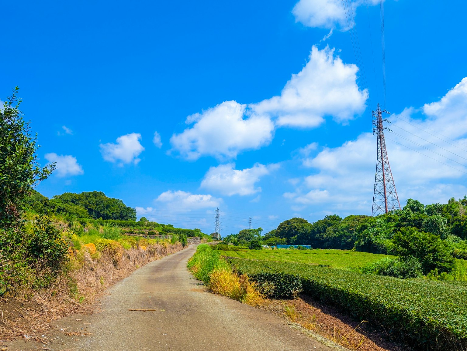 Con đường đất uốn lượn qua cây cối xanh tươi dưới bầu trời xanh với những đám mây bồng bềnh