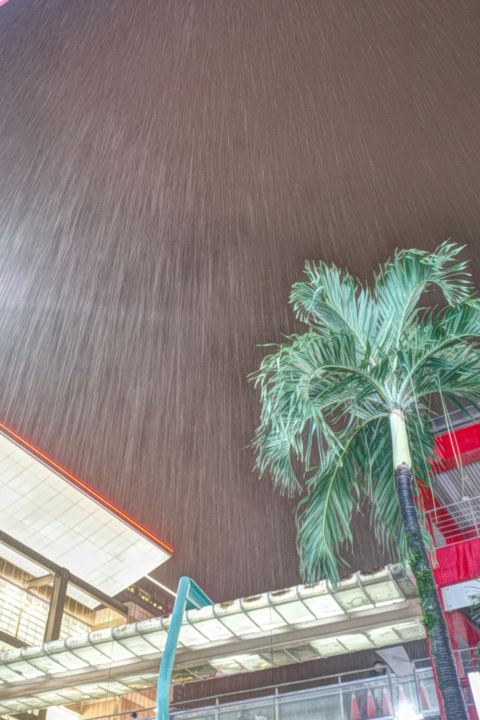 夜の雨が降る中でのヤシの木と建物の風景