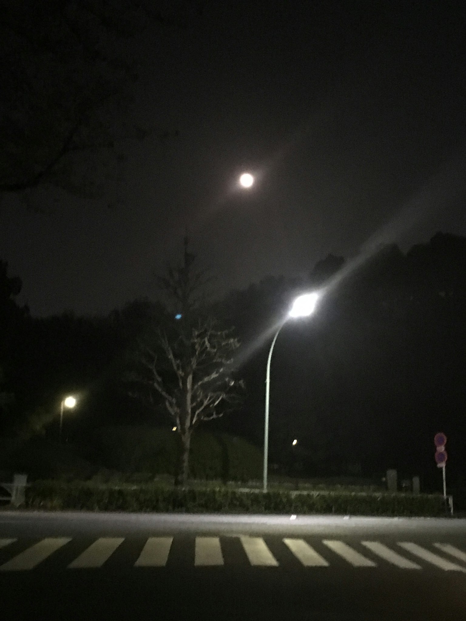 Mond über einem dunklen Park mit Straßenlaternen