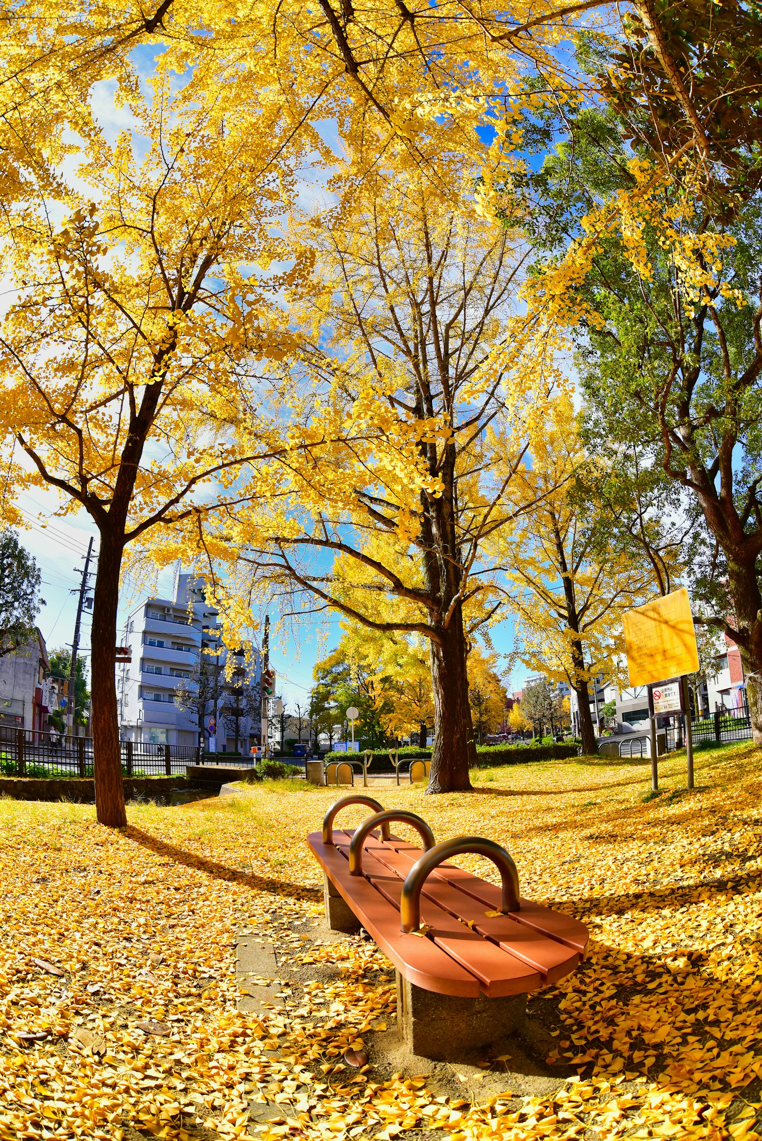 秋の公園のベンチと黄色い葉