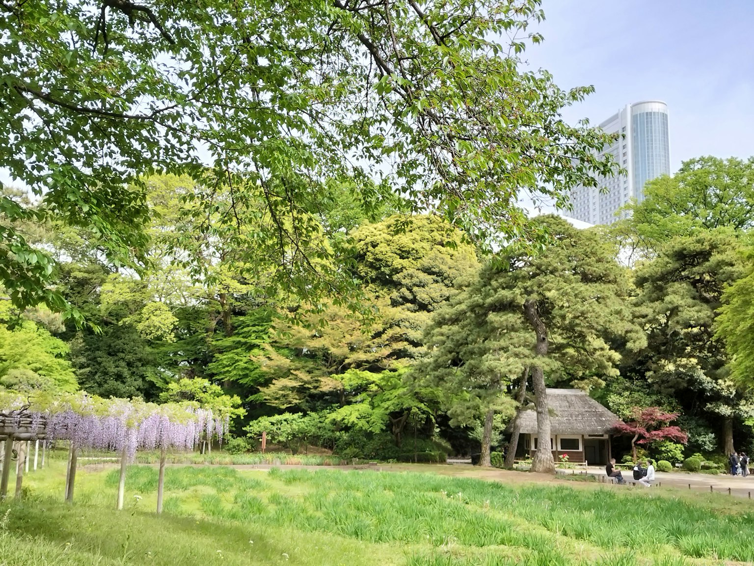 郁郁蔥蔥的公園場景，特色是傳統茅草屋和現代摩天大樓