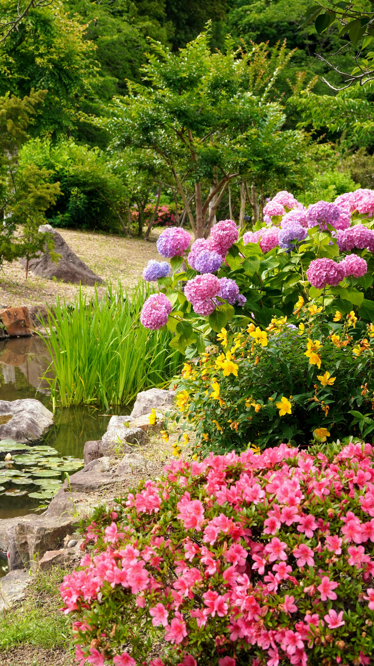 Paysage de jardin magnifique avec des fleurs colorées en fleurs