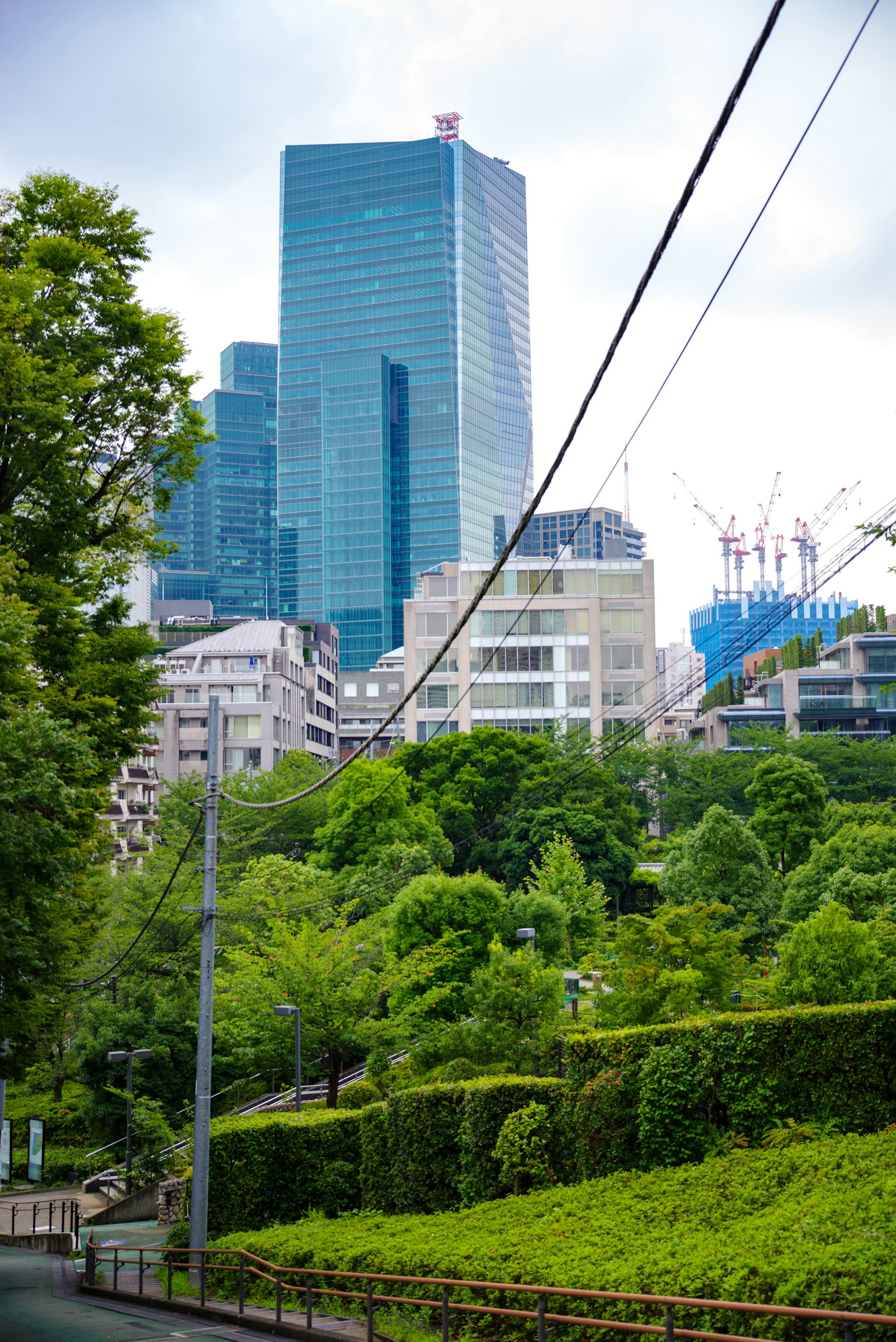 Paesaggio urbano con vegetazione lussureggiante e grattacieli moderni