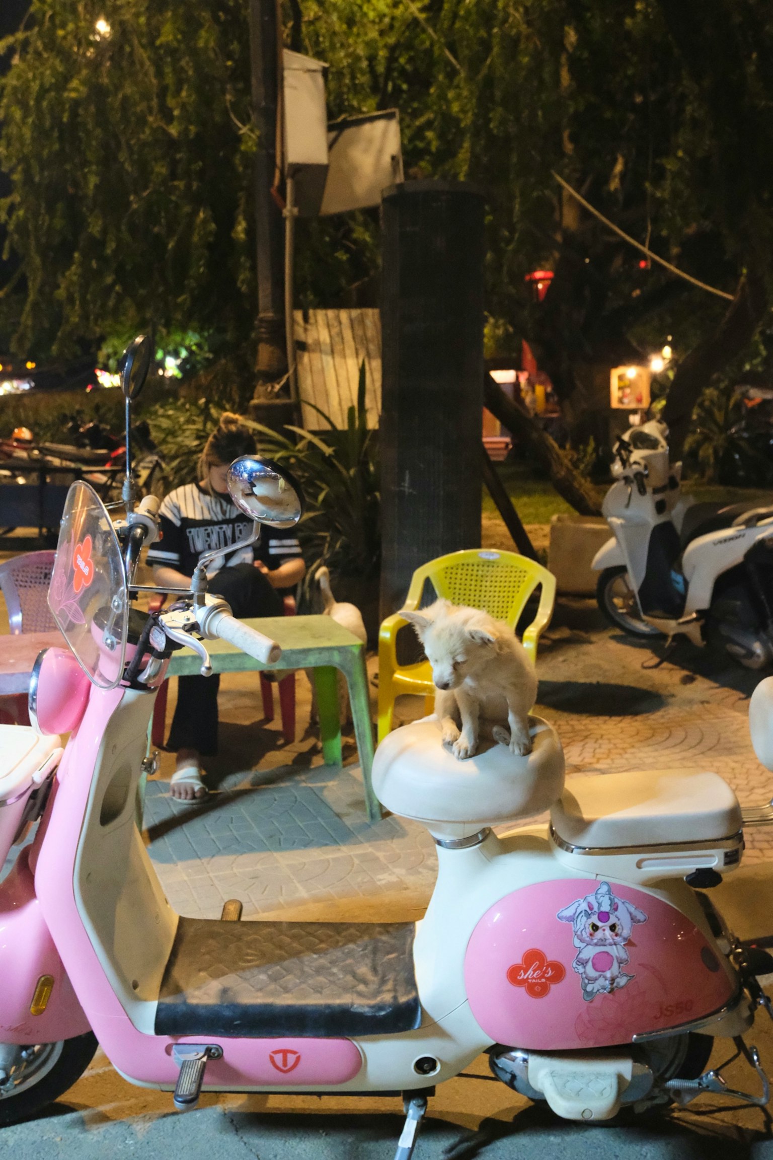 夜の街角に停まったピンクのスクーターの上に座る犬とその近くで作業する人