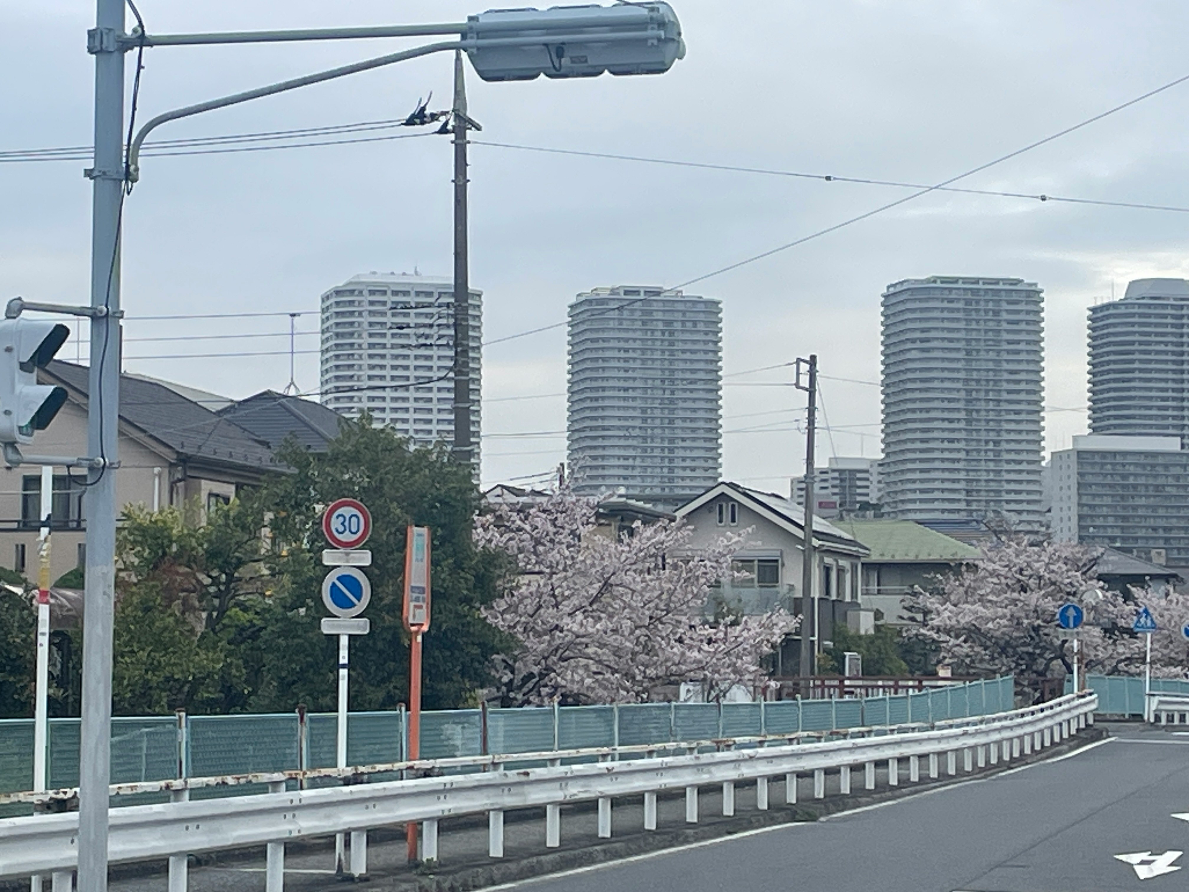 Kirschblüten entlang einer Hochstraße mit Stadtsilhouette