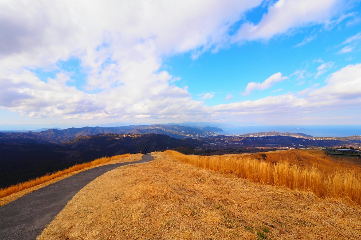Panoramablick auf eine trockene Graslandschaft unter einem blauen Himmel mit weißen Wolken