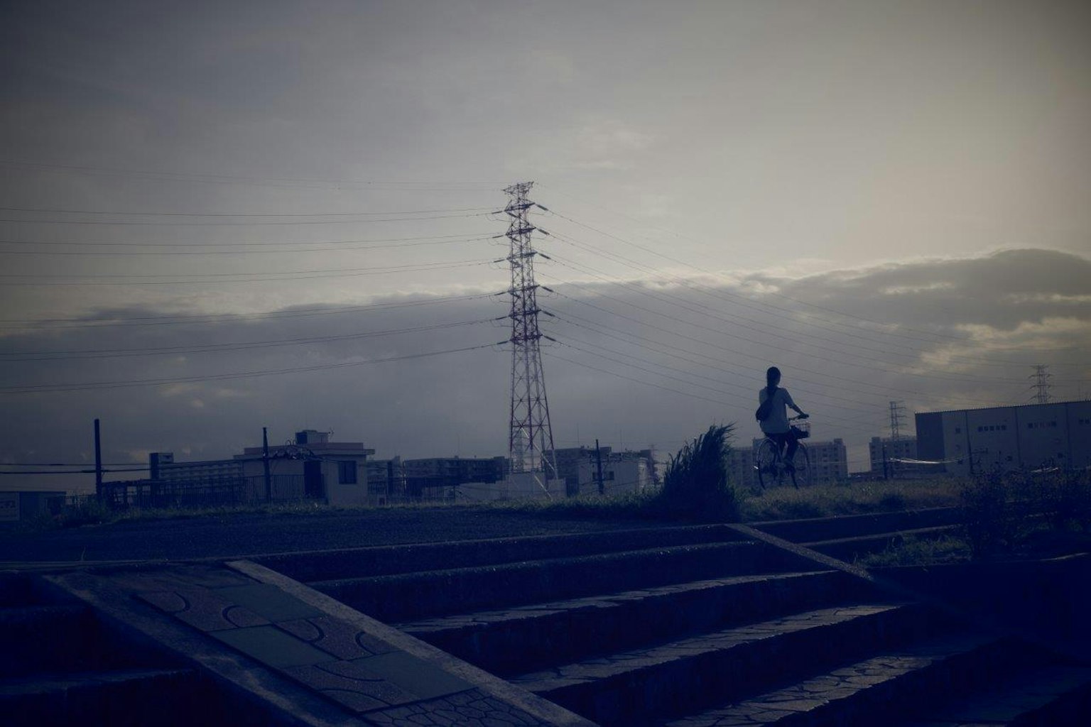 Silhouette of a person riding a bicycle under a dim sky with power lines