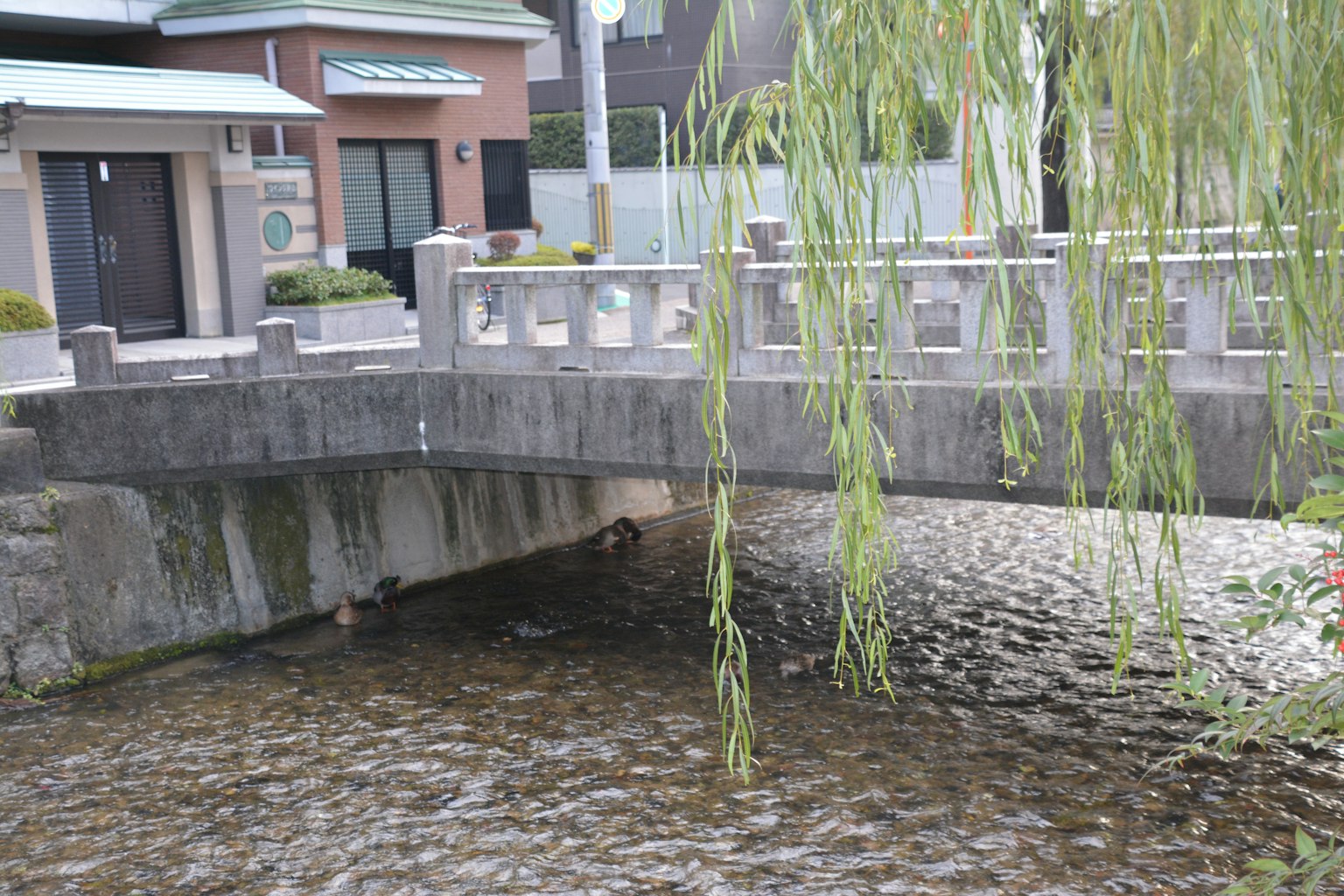 Jembatan batu di atas sungai dengan pohon willow