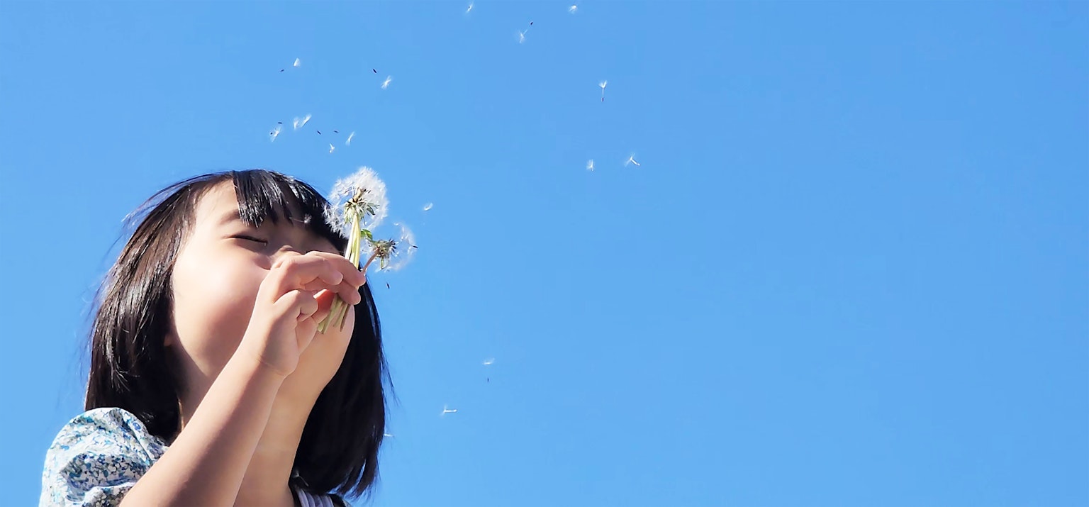 Child blowing dandelion seeds under a clear blue sky