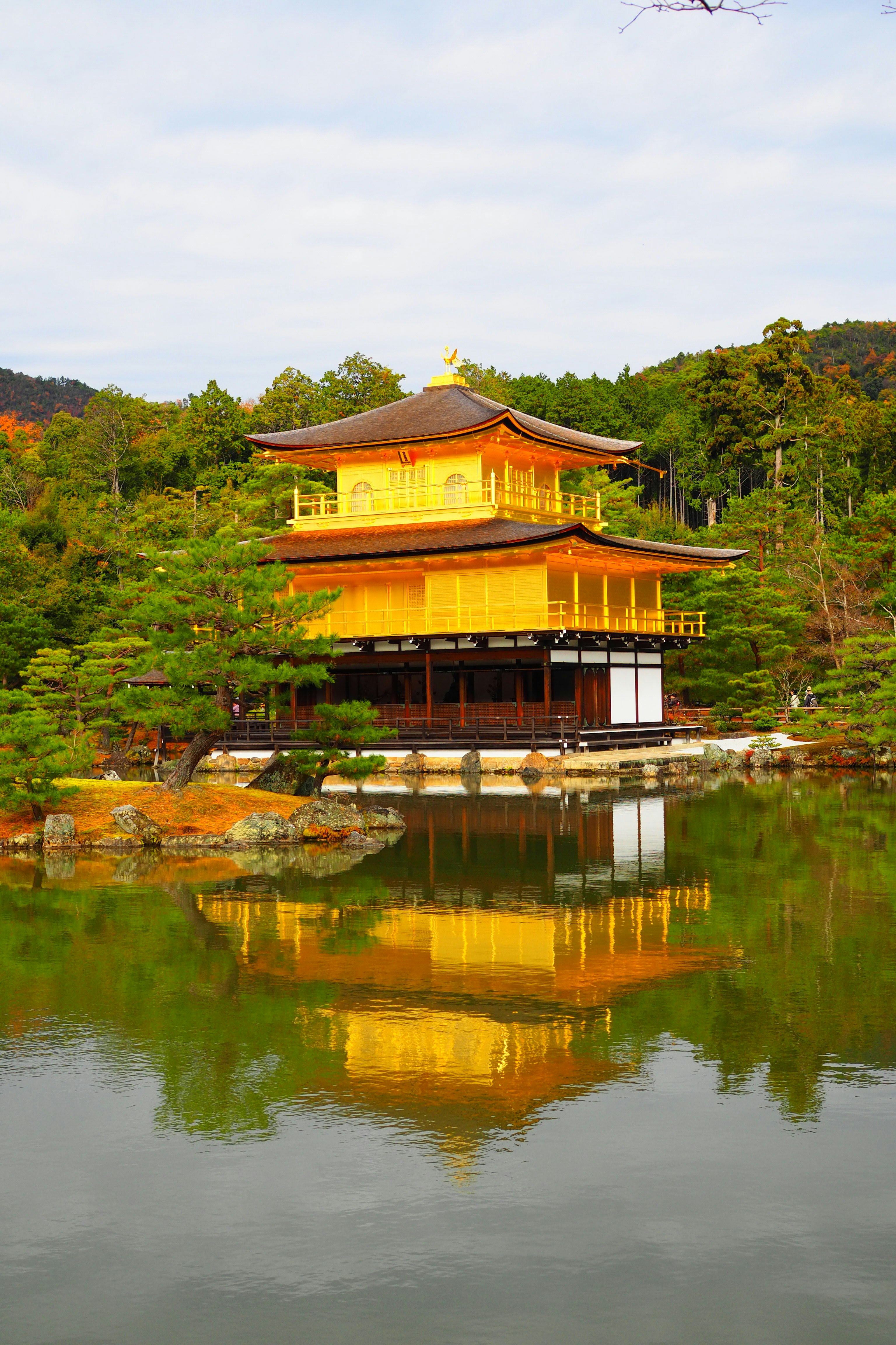 池に映る金色の寺院建築と庭園の景観