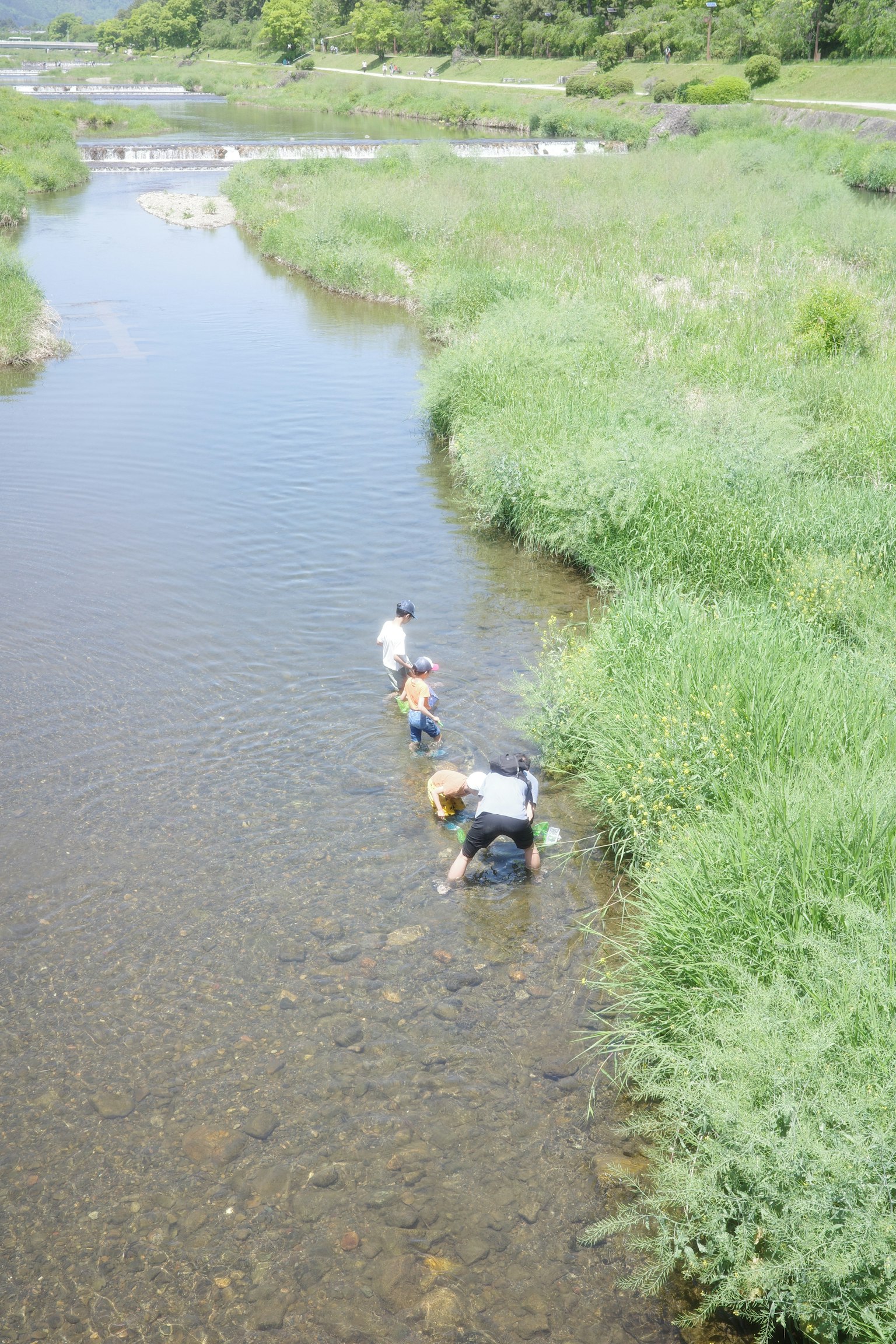 Bambini che giocano in un fiume circondato da erba verdeggiante