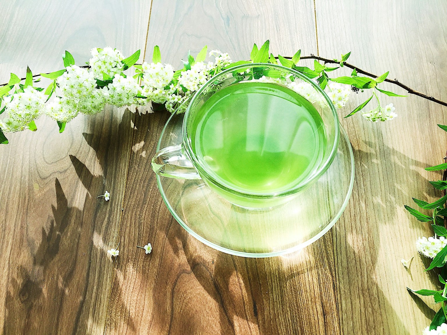 透明玻璃杯中的綠茶和白色花朵