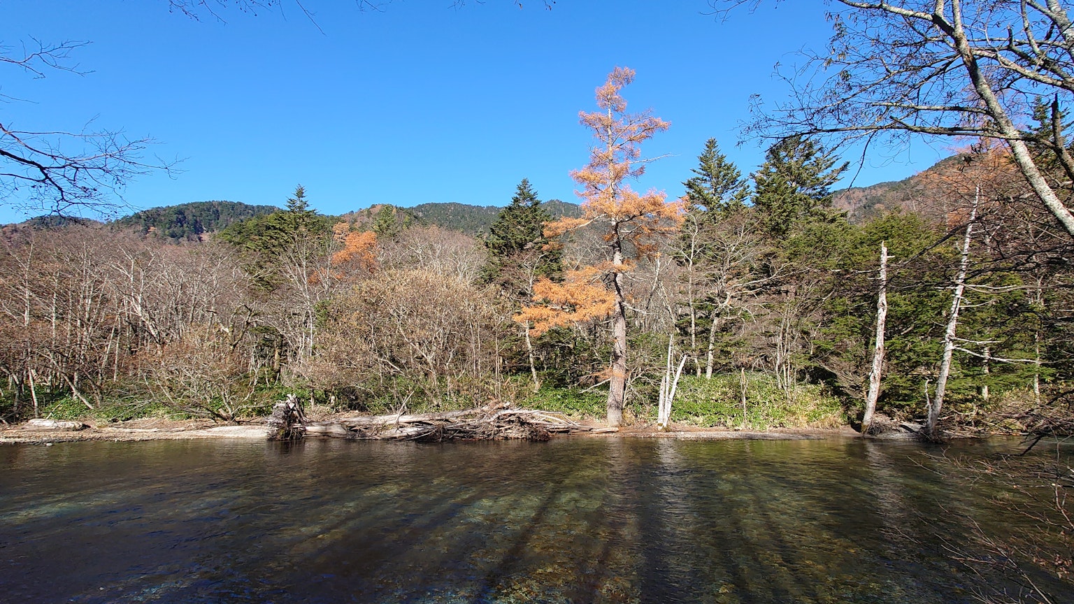 Serene river landscape with blue sky and trees