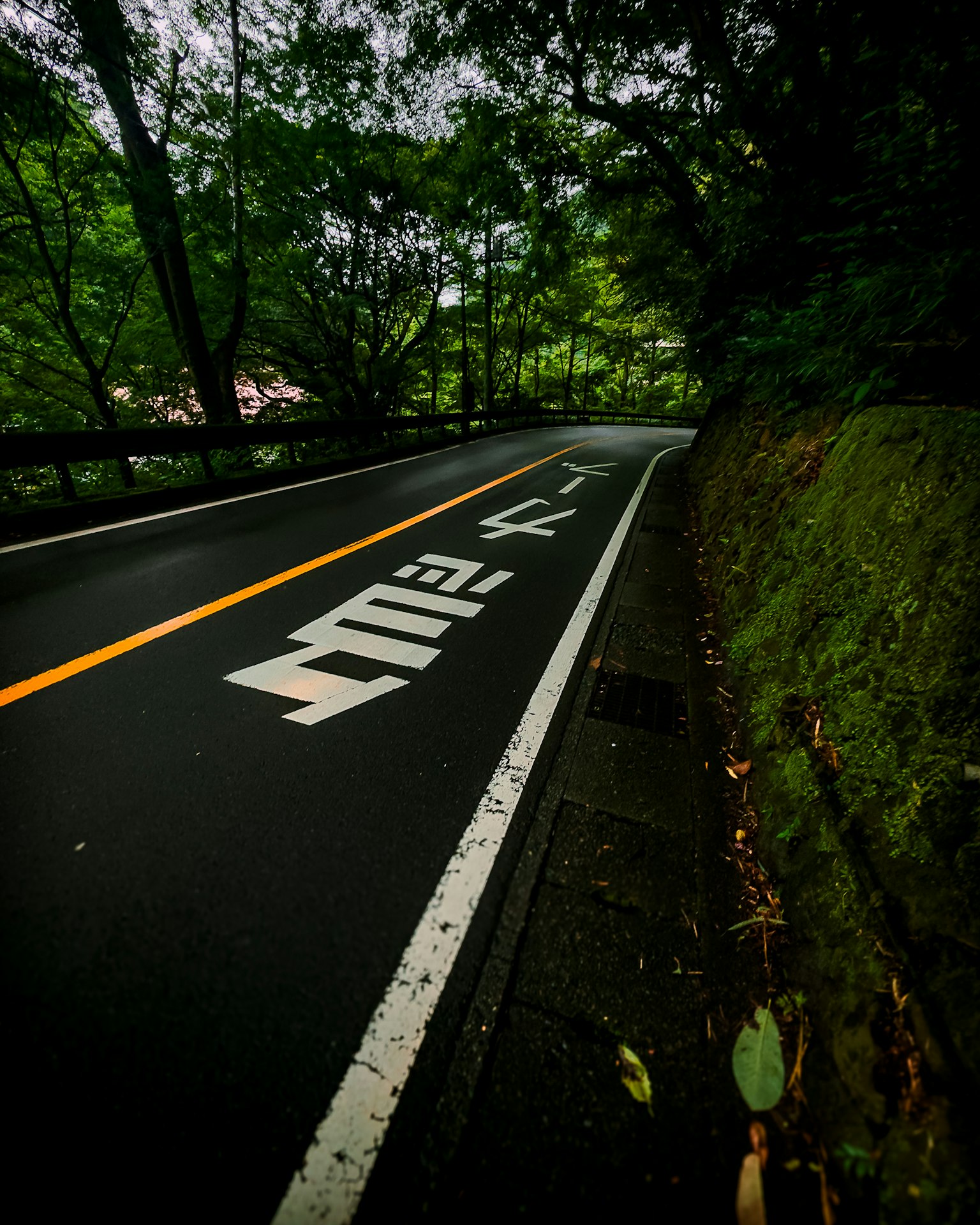 一段被綠色環繞的道路和一個白色的路標