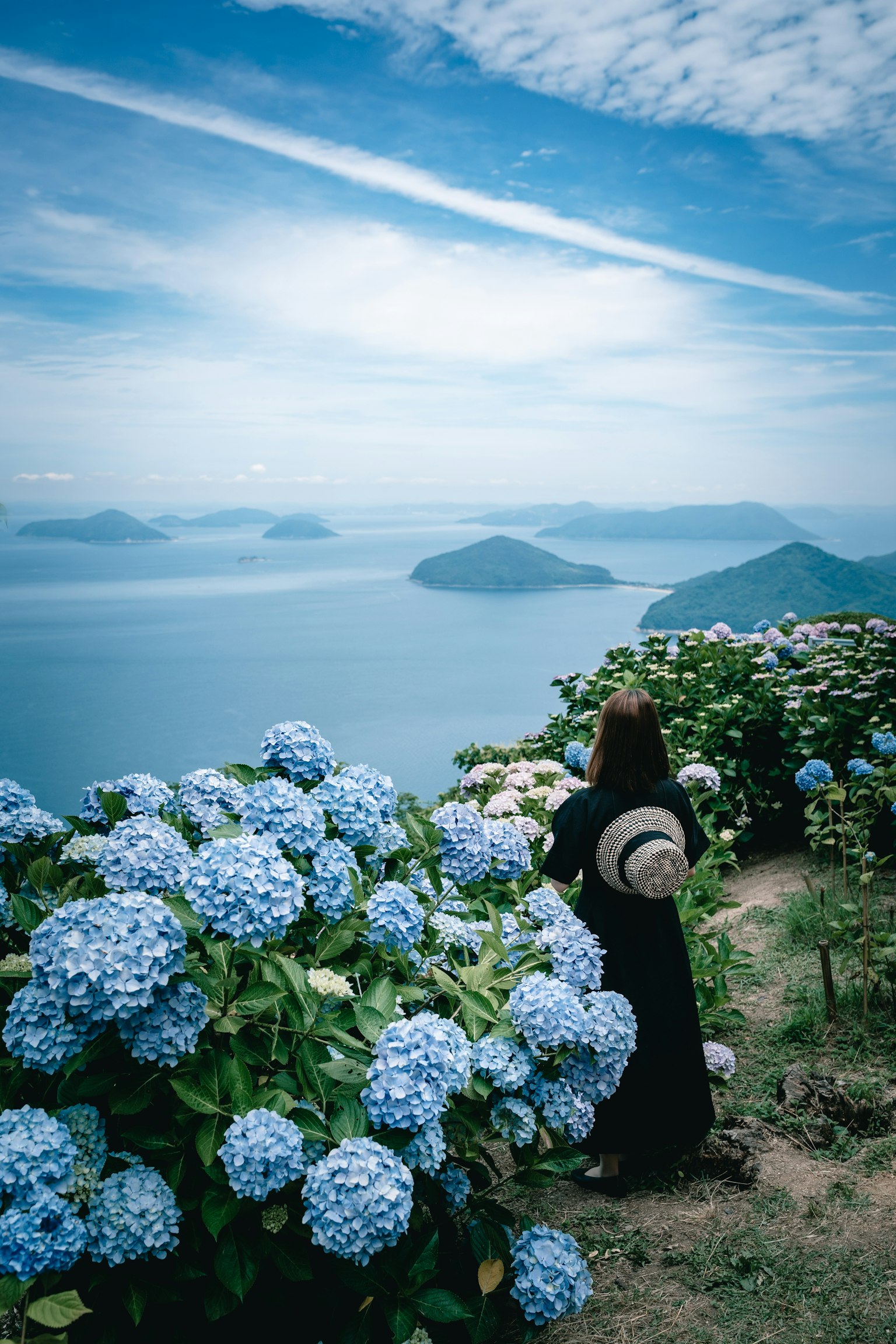 Seorang wanita dikelilingi oleh bunga hydrangea biru menatap laut dalam pemandangan yang indah