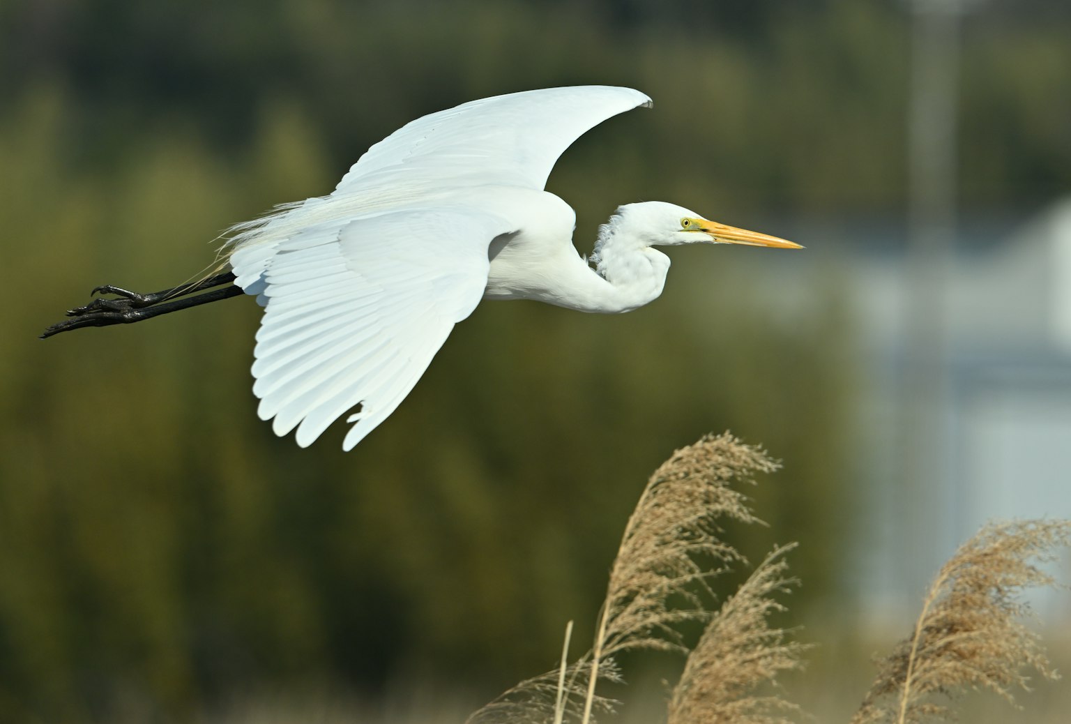 photo-vO9U72iZIRqW4hE0f34b-image