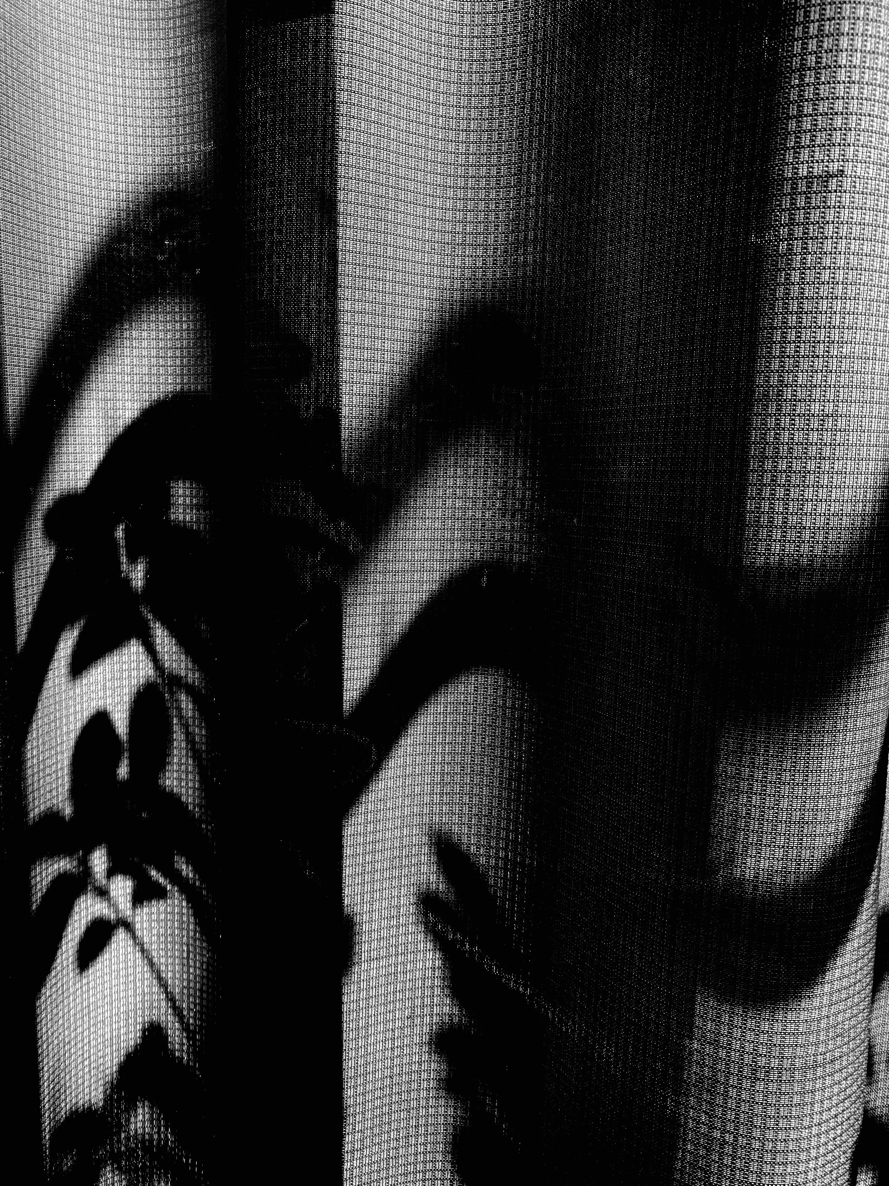Escena interior en blanco y negro con sombras de cortina proyectadas en una pared