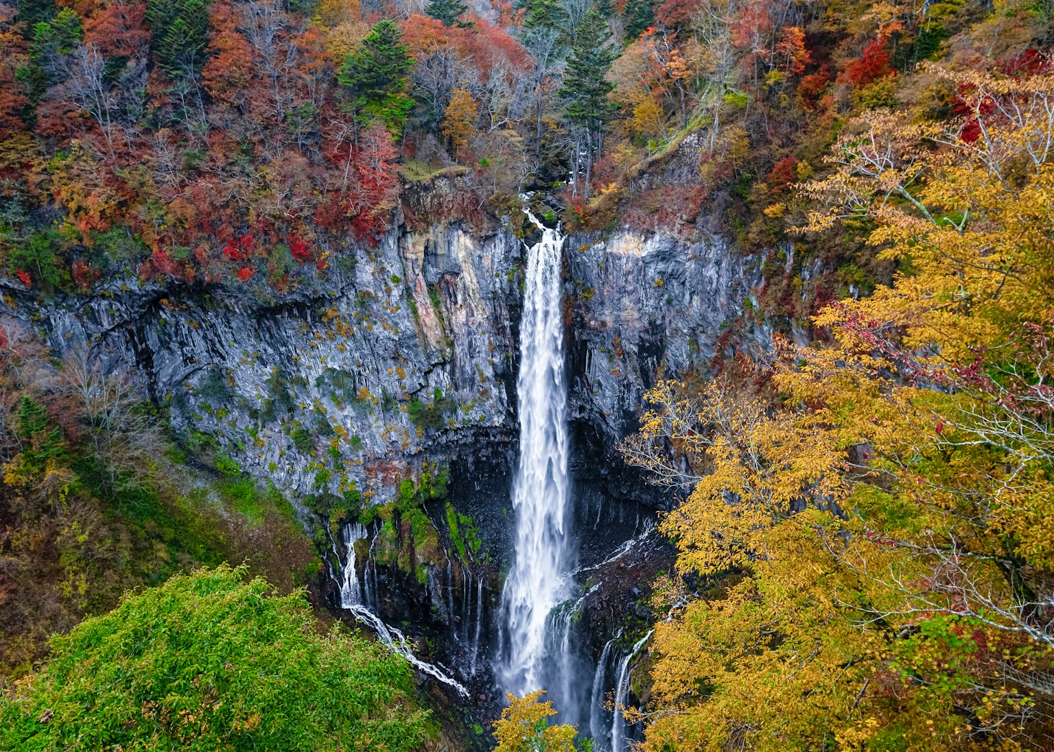 被秋天的樹葉環繞的美麗瀑布