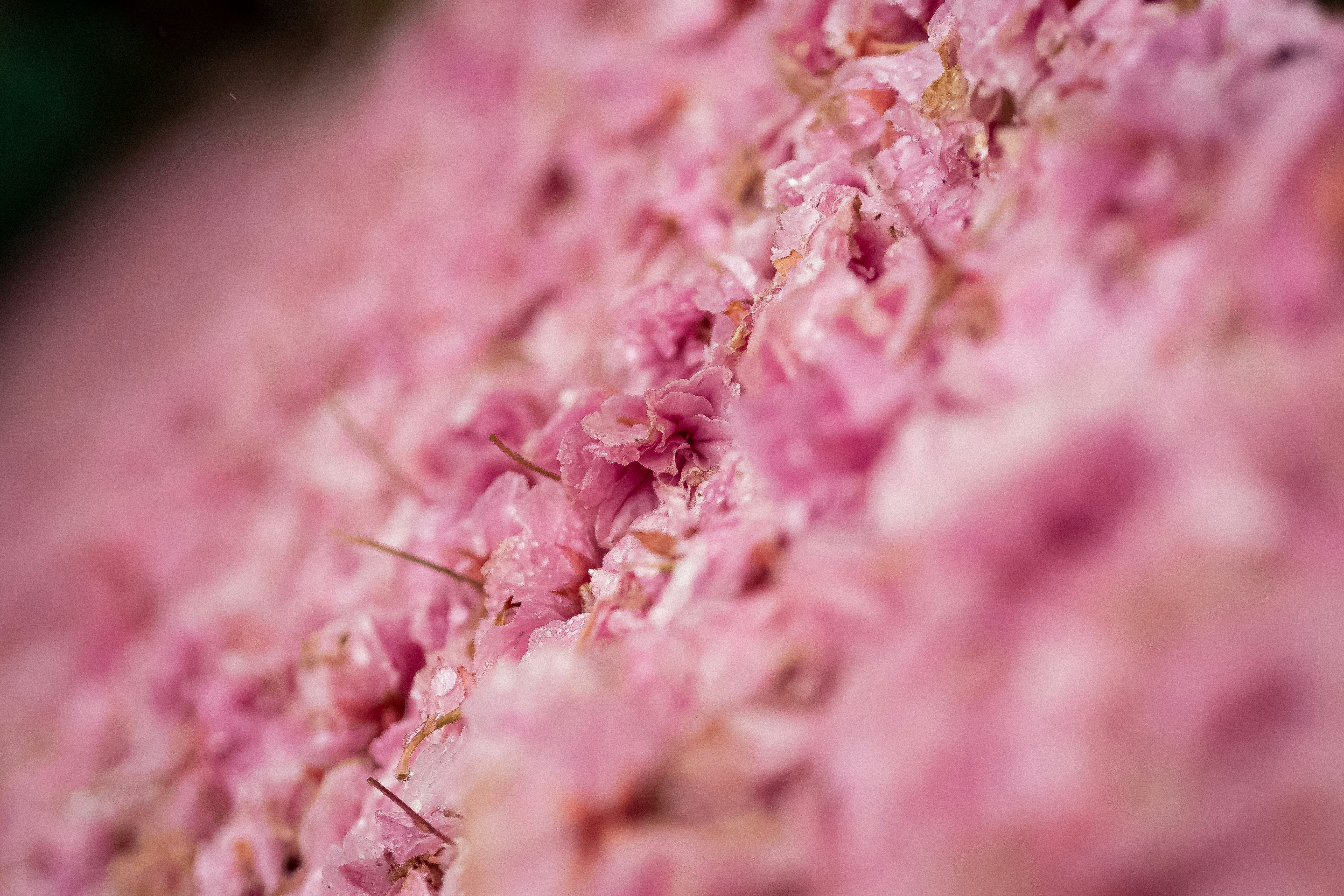 photo-vQOpKgluC6UI4WvKKJBJ-image