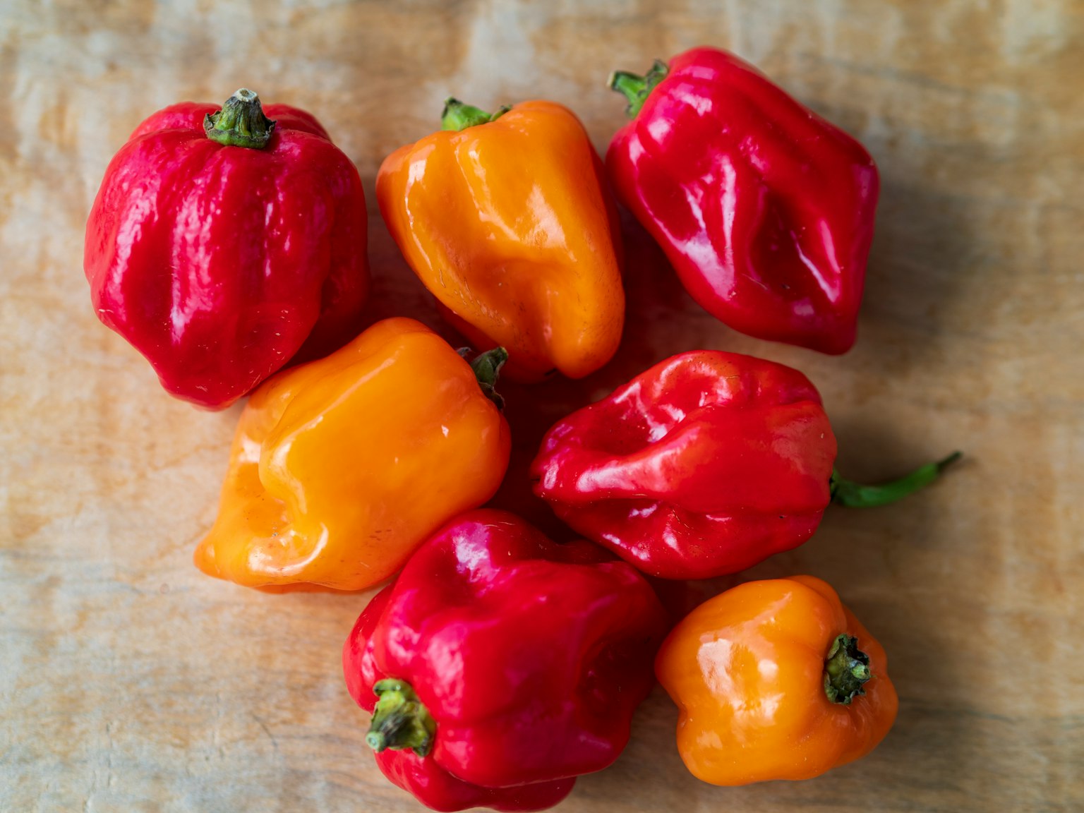 Bunte Paprika auf einem Holztisch angeordnet