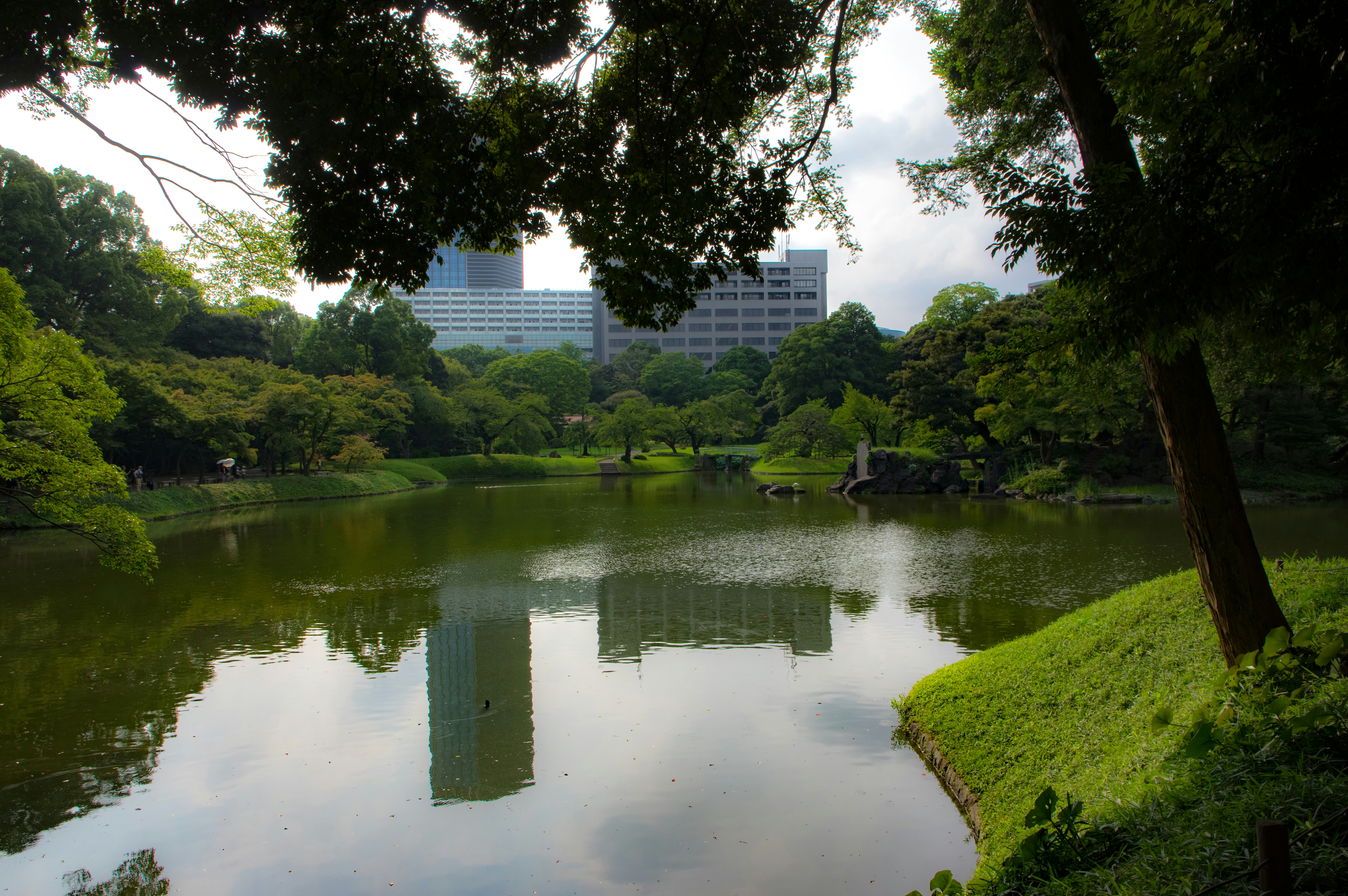paisaje de parque con un estanque rodeado de árboles