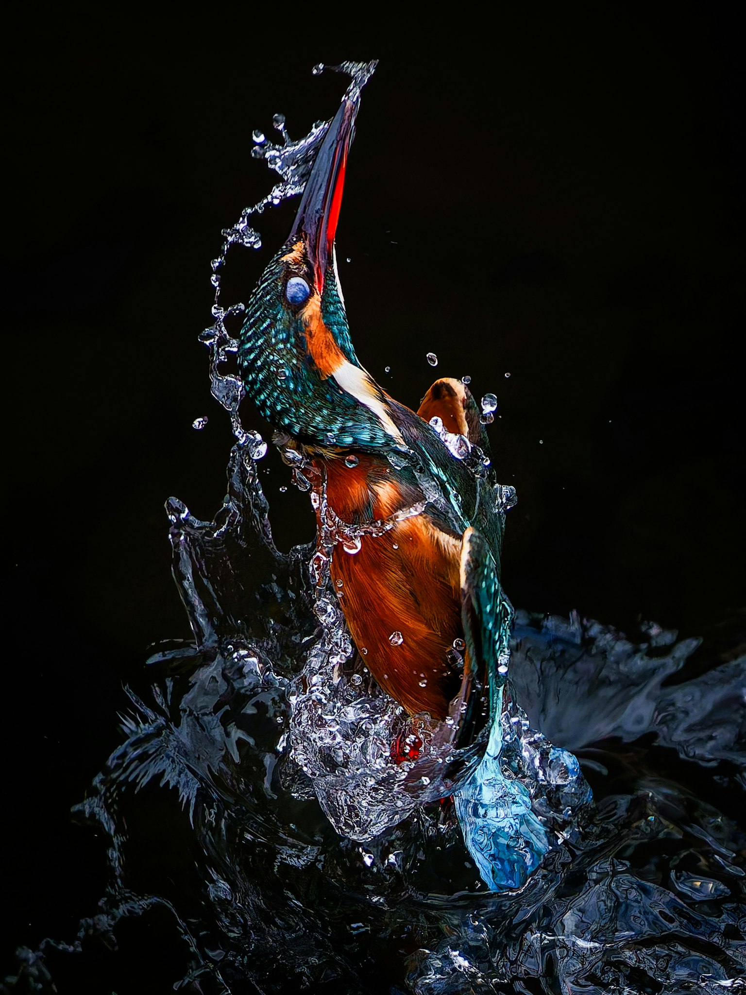 Ein lebhafter Eisvogel, der Wasser in dynamischer Pose spritzt